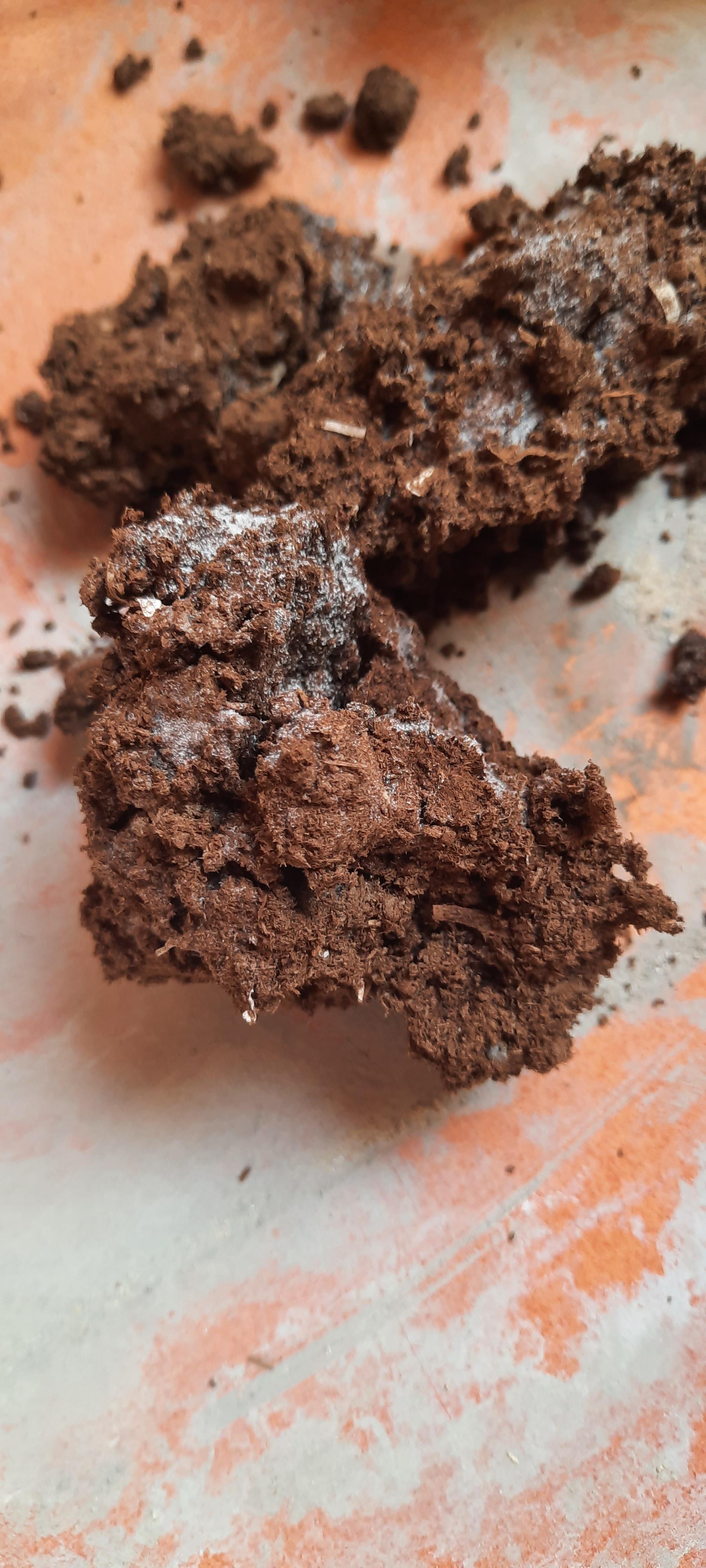 Peat moss mix looks moldy. What to do? r/gardening