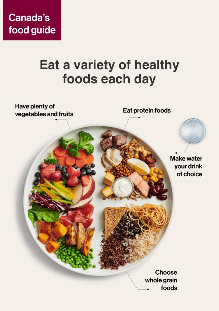 The New Canadian Food Guide as of today! r/Edmonton
