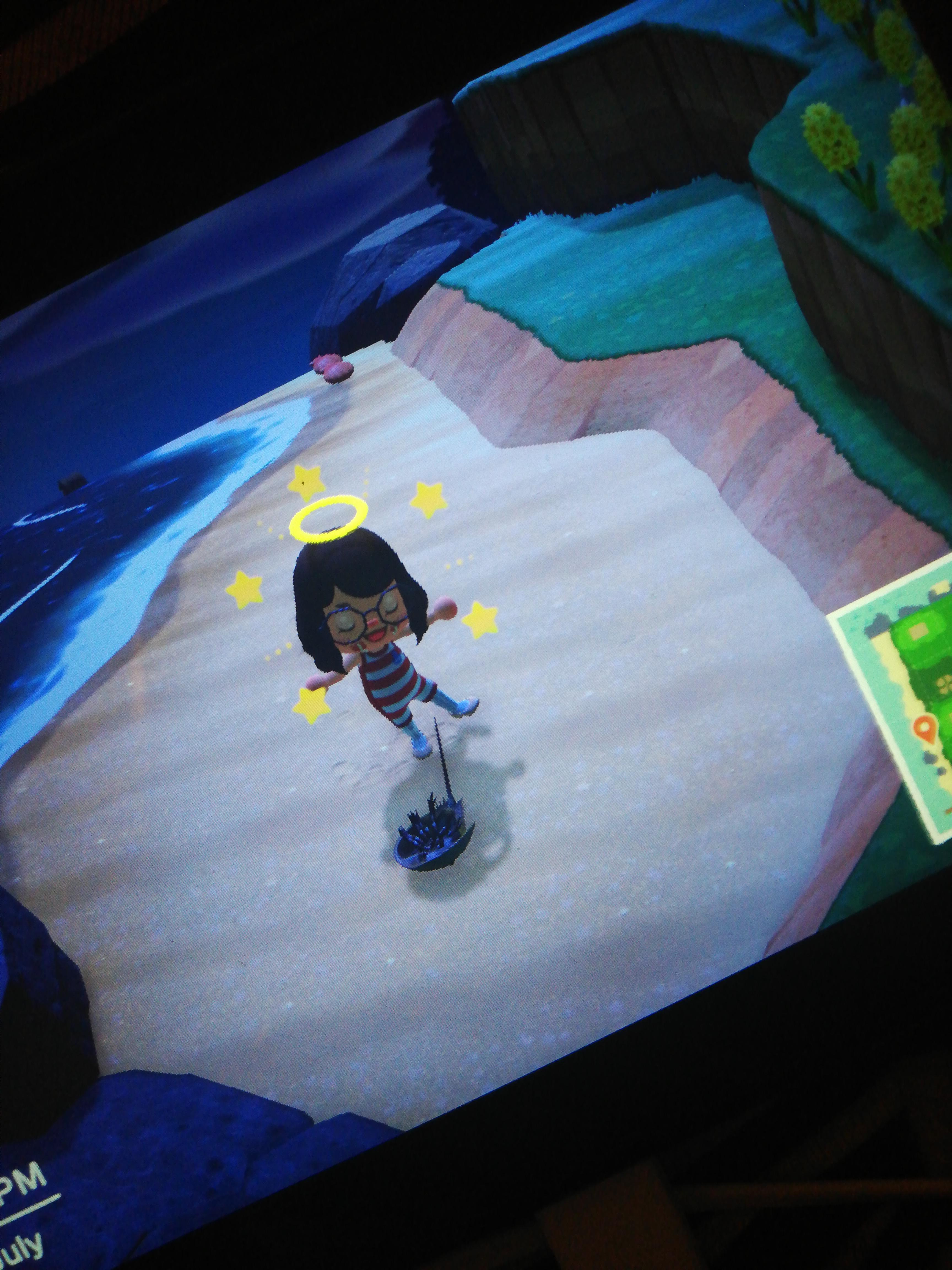 look at all you snobs with your turtles, while im just chilling with my