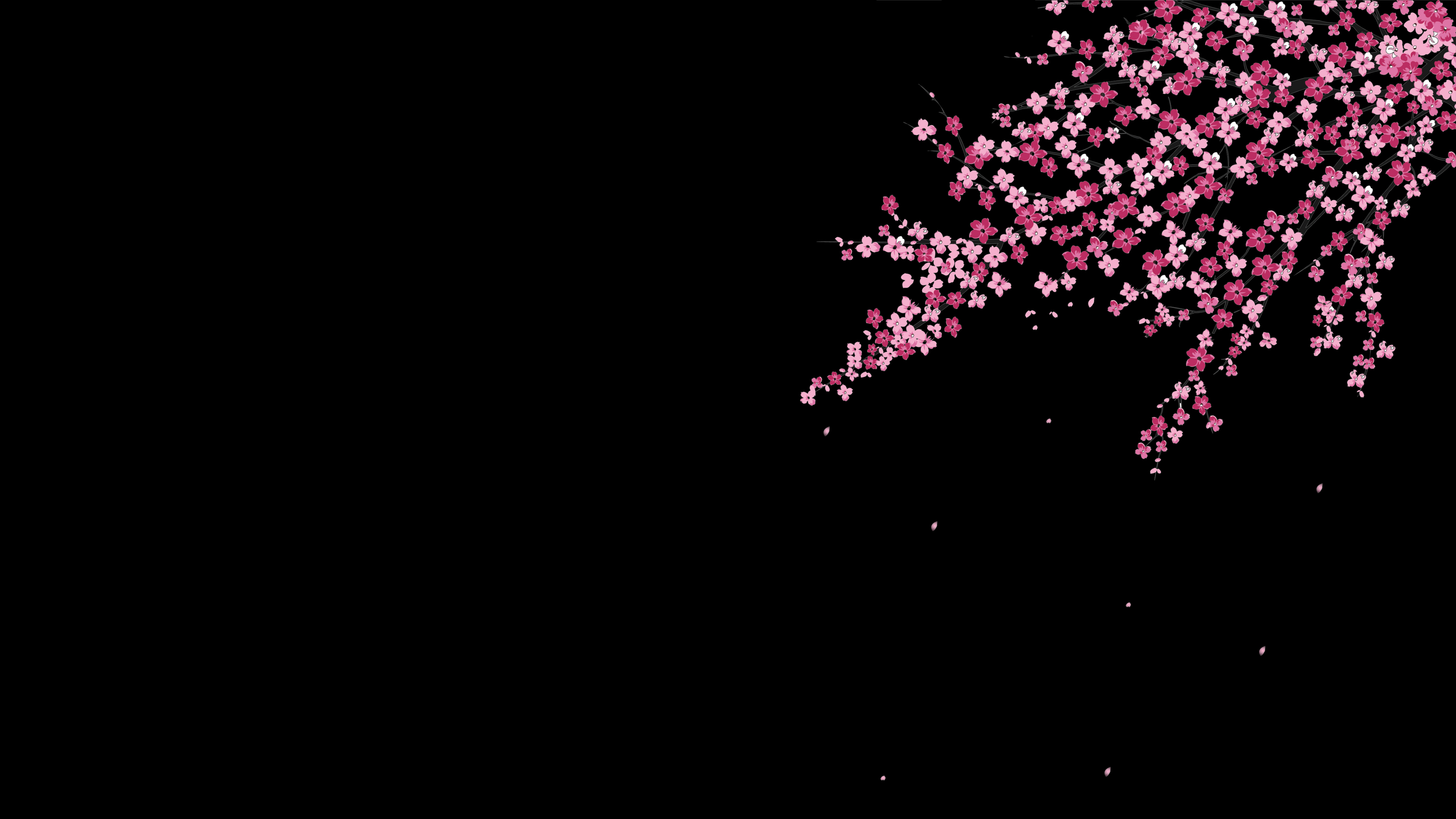 Sakura tree on black background (3840 x 2160) HD Wallpapers