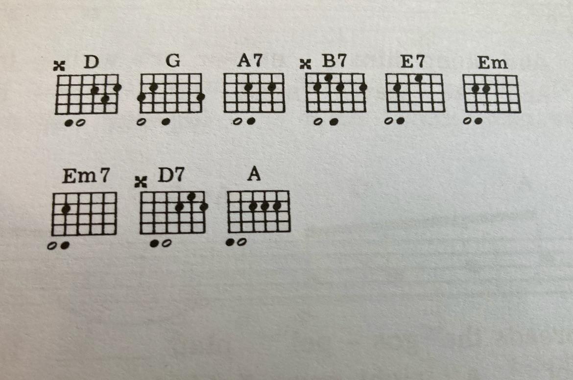 What are these white and black dots below the chord diagrams? r