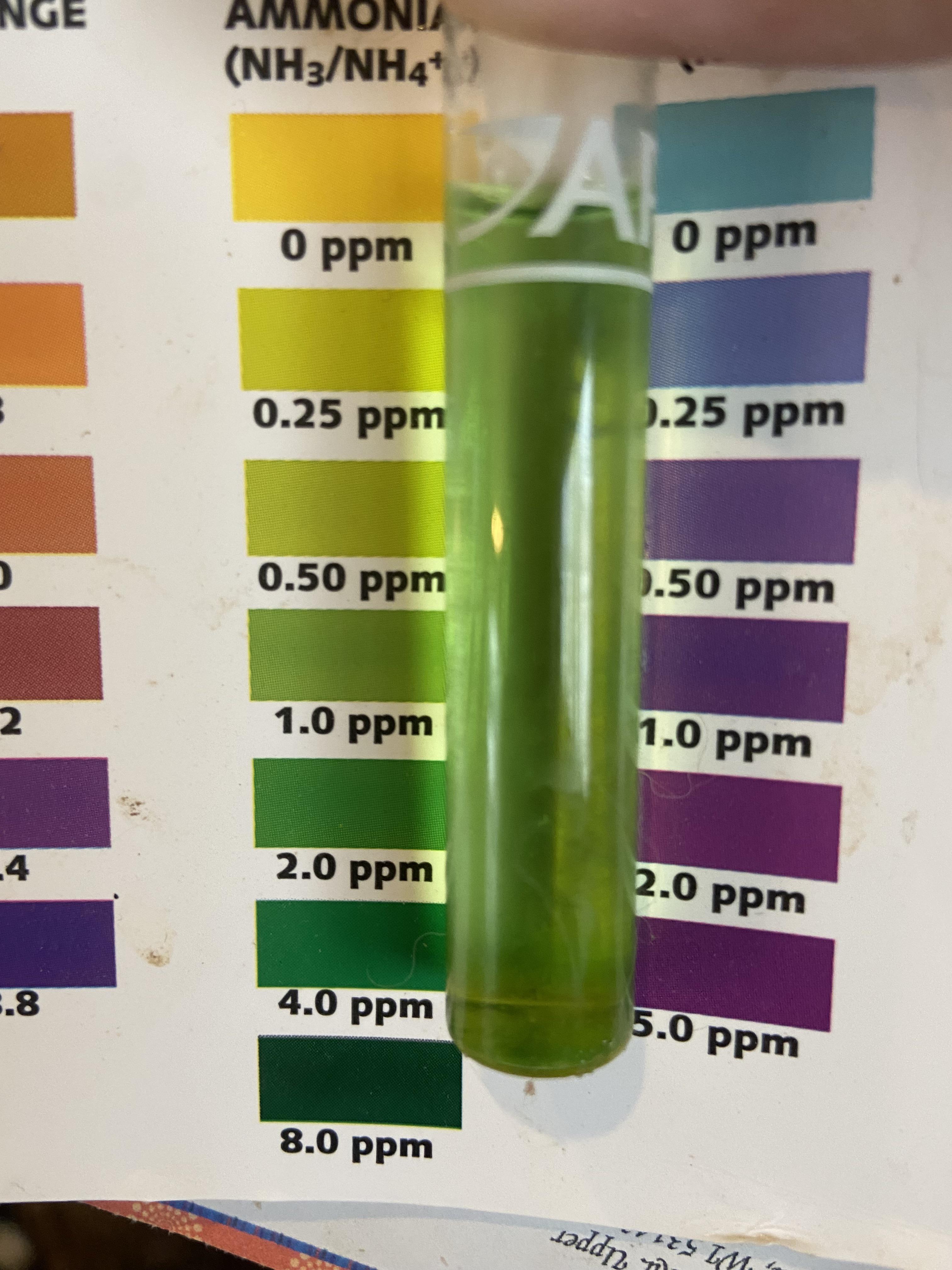 So. This is my tap water. Started having tank issues and tested high