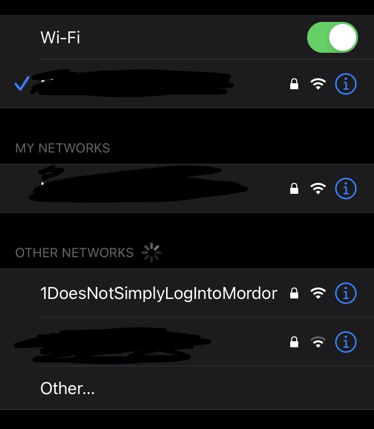wifi in my neighborhood r/lordoftherings
