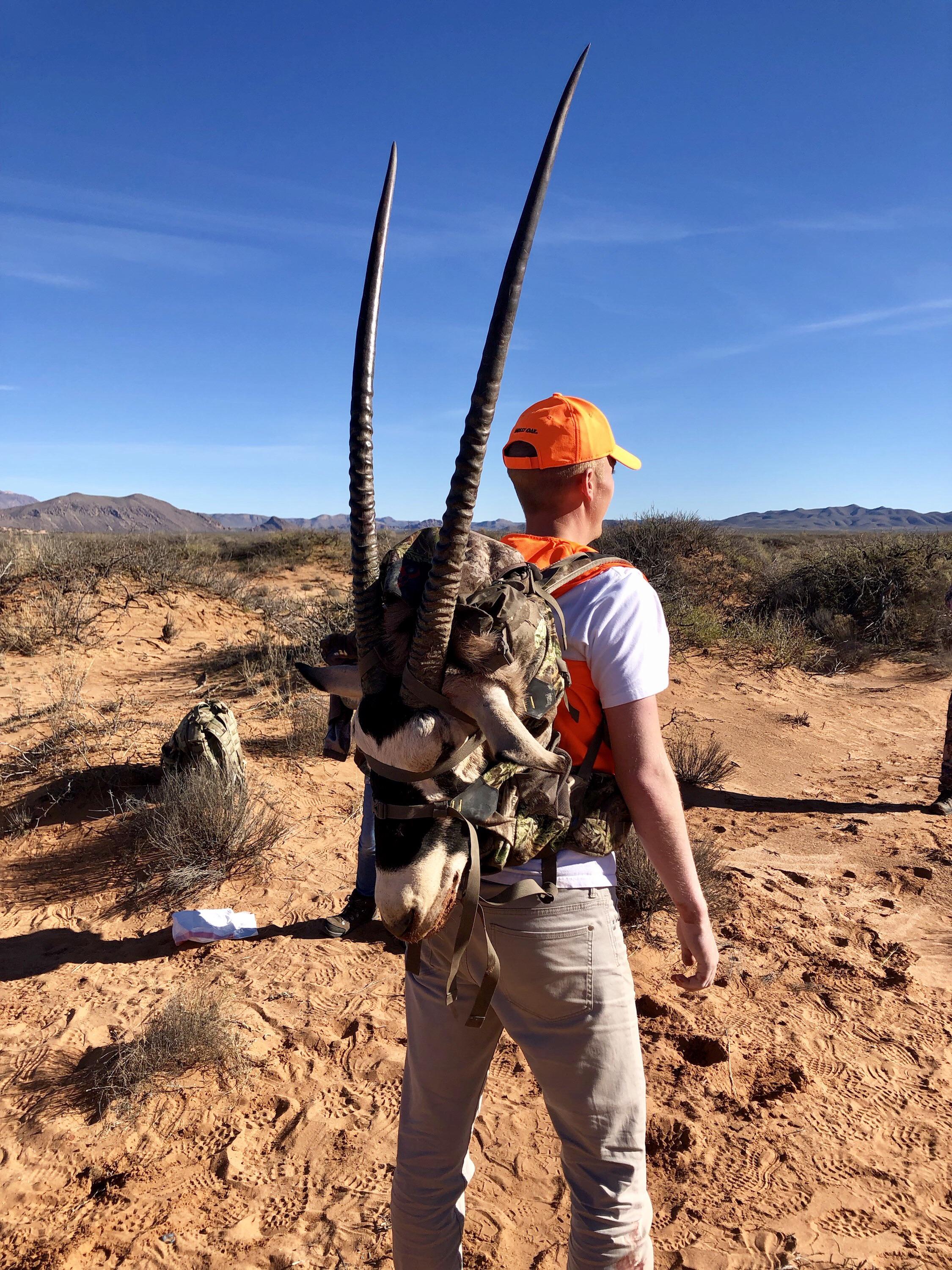 Gemsbok(Oryx) in Texas. Won the lottery on my first time putting in the