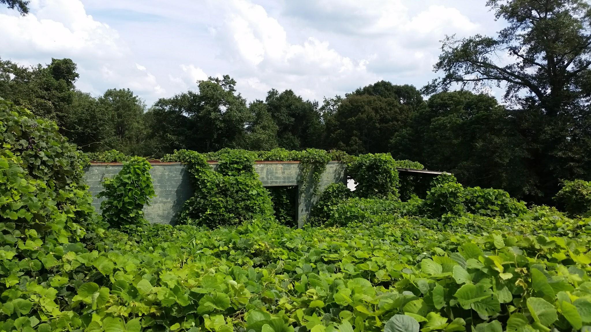 A building behind an abandoned recycling plant in Talmo, GA r