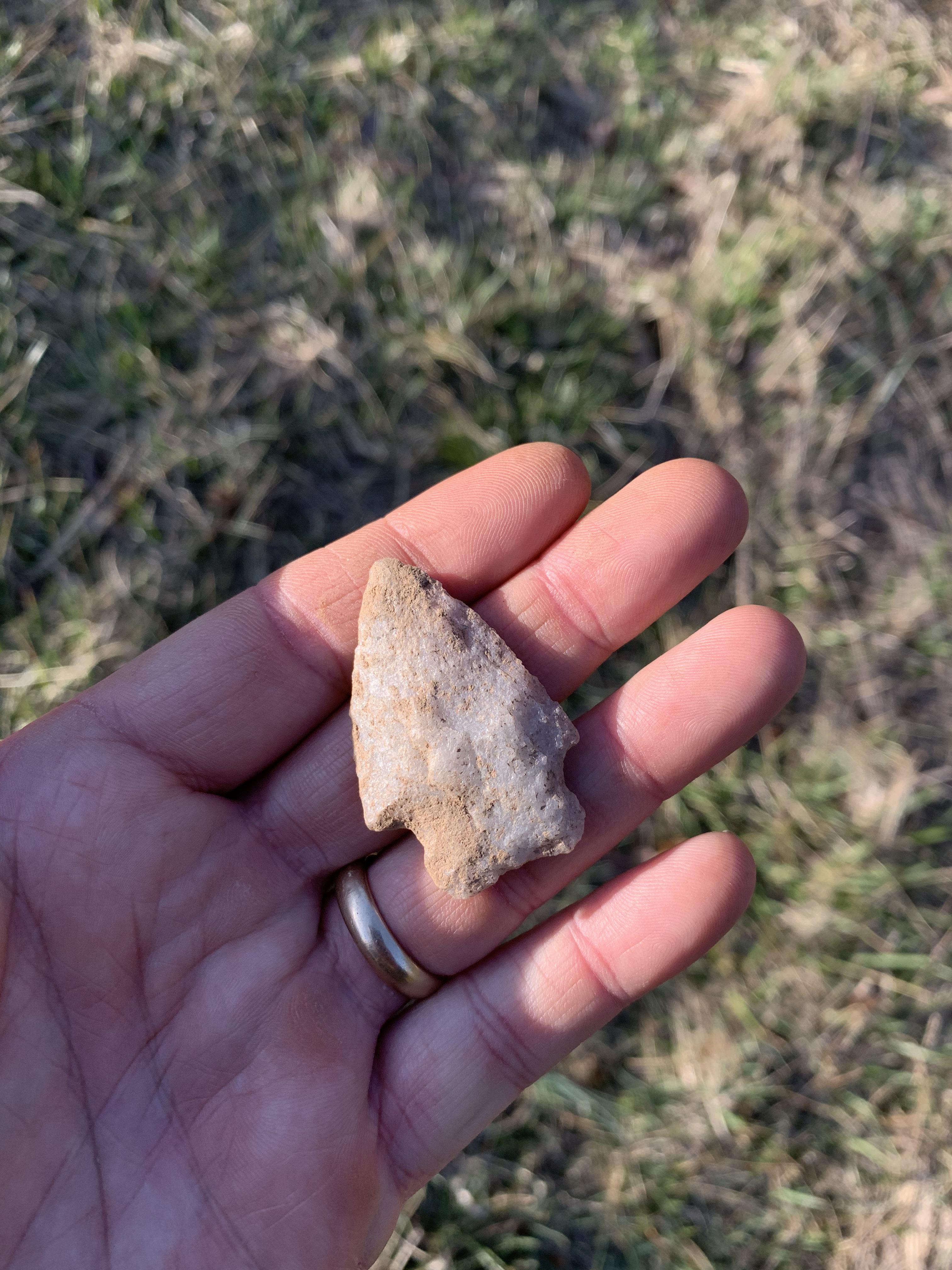 Lightning stones from Lake Michigan near Fennville, MI rockhounds