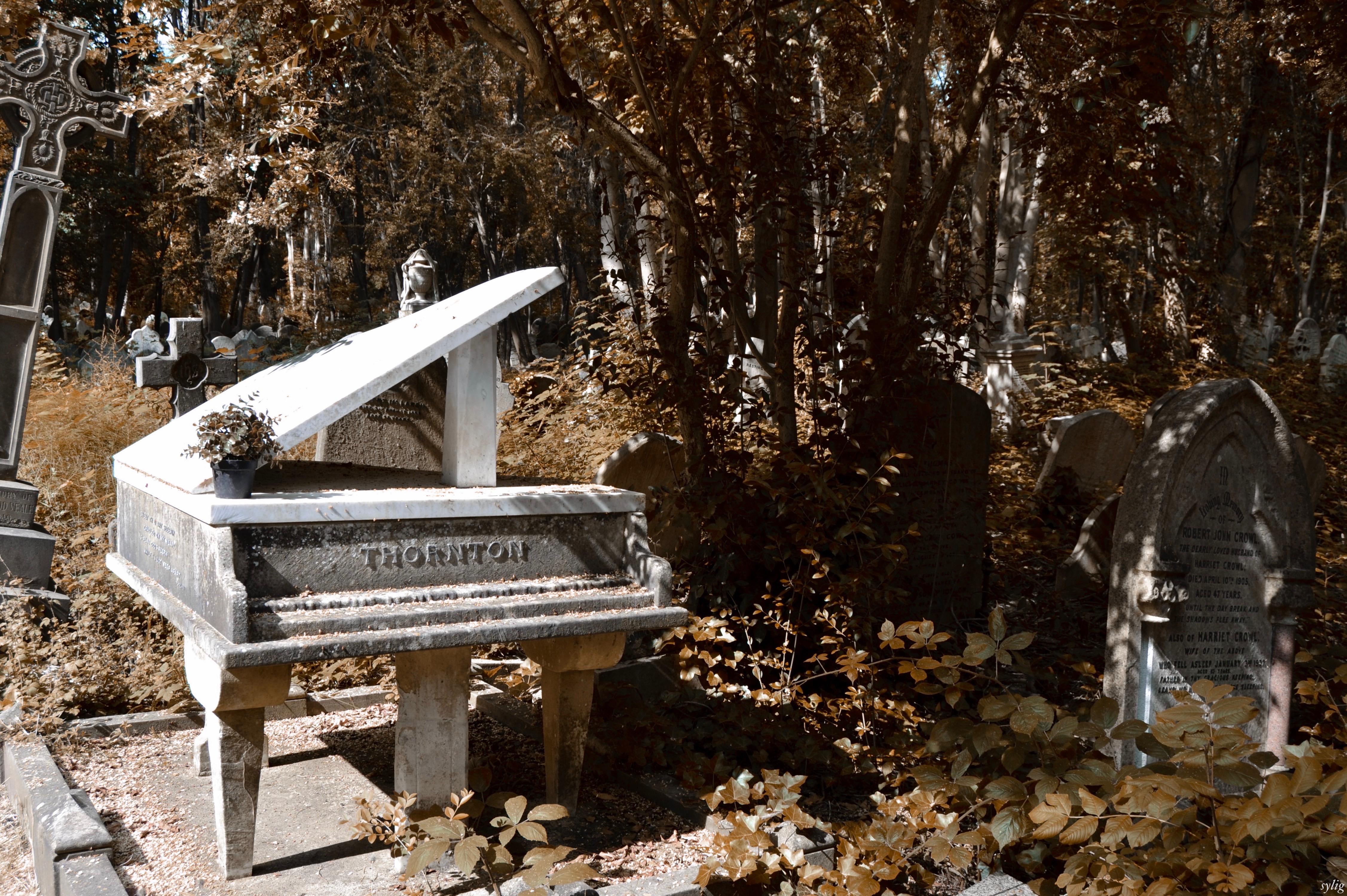 The grave of Thornton Highgate Cemetery r/CemeteryPorn