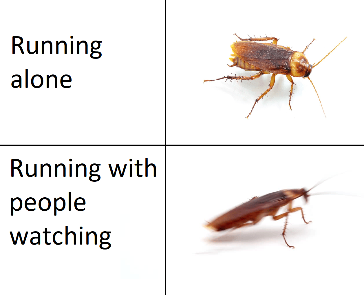 Athletic Cockroaches memes