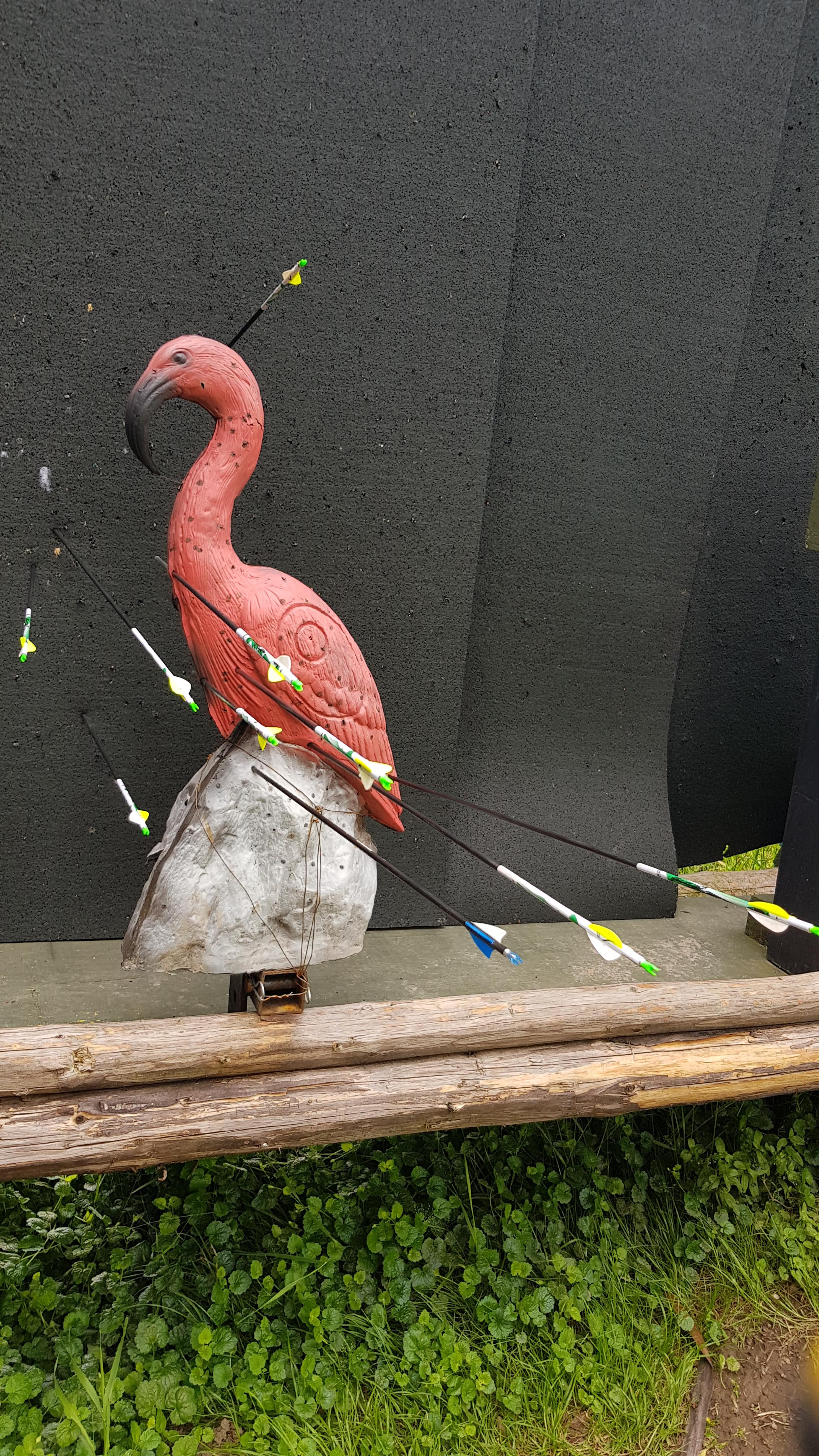 Results of first time string walking r/Archery