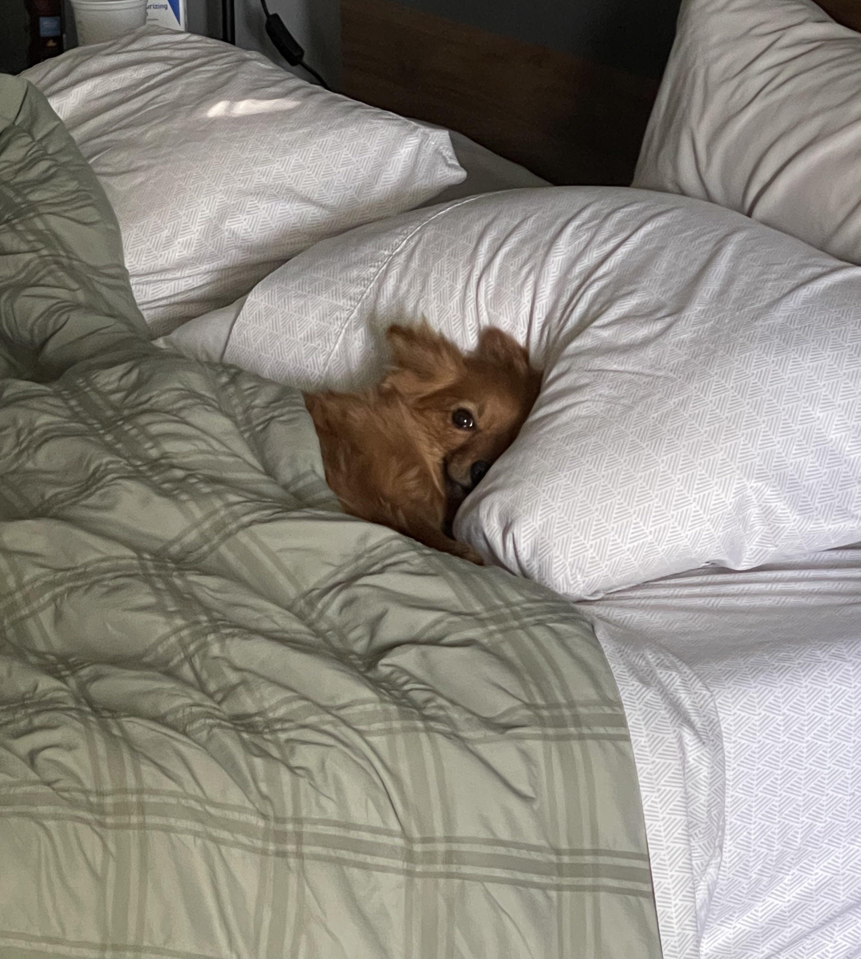 My boyfriend sends me pics of her still in bed while I’m at work r