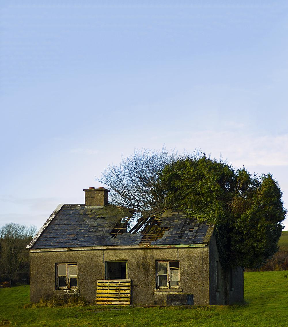 [OC] [1000x1134] Two friends at Lissycasey, Co Clare, Ireland. r
