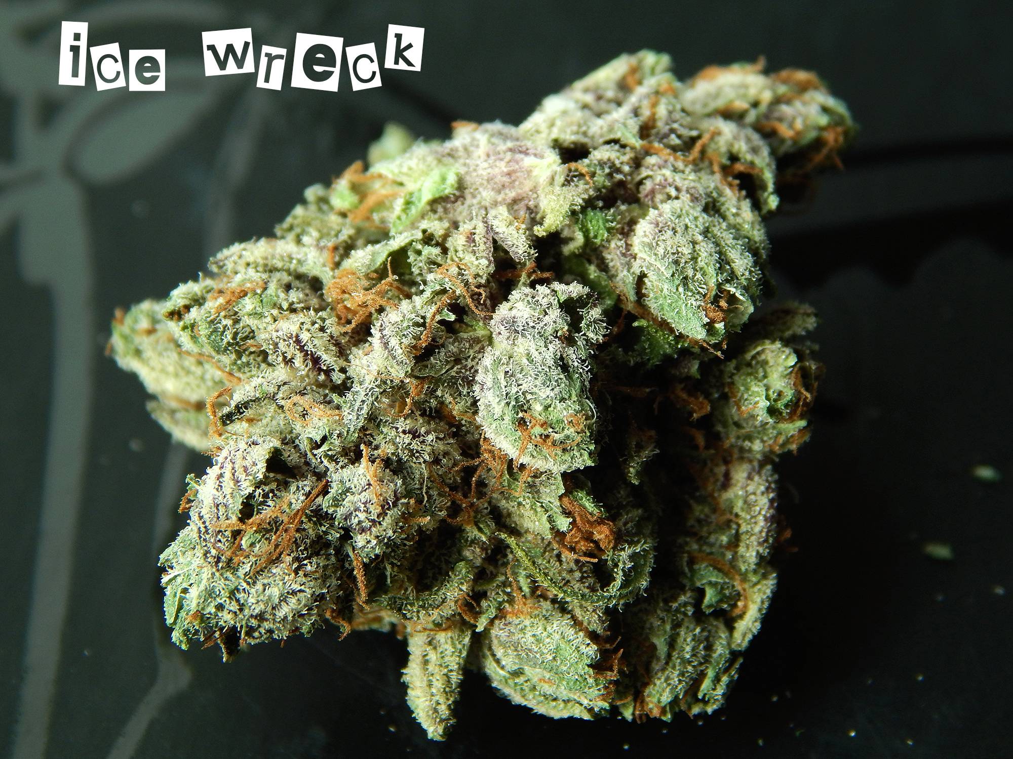 IC3 WR3CK The Green Ace Feb. 2019 MOMpics