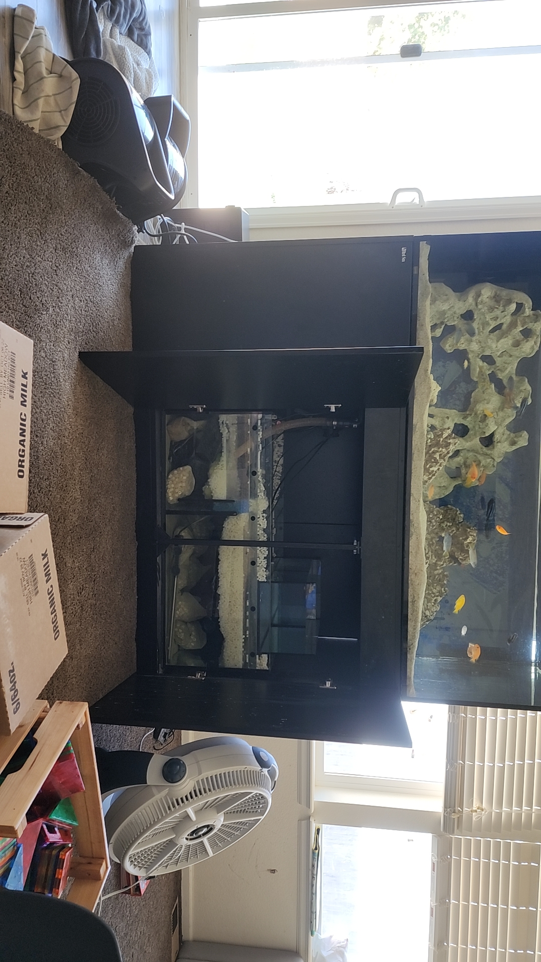 30 gallons of water on the carpet r/Aquariums