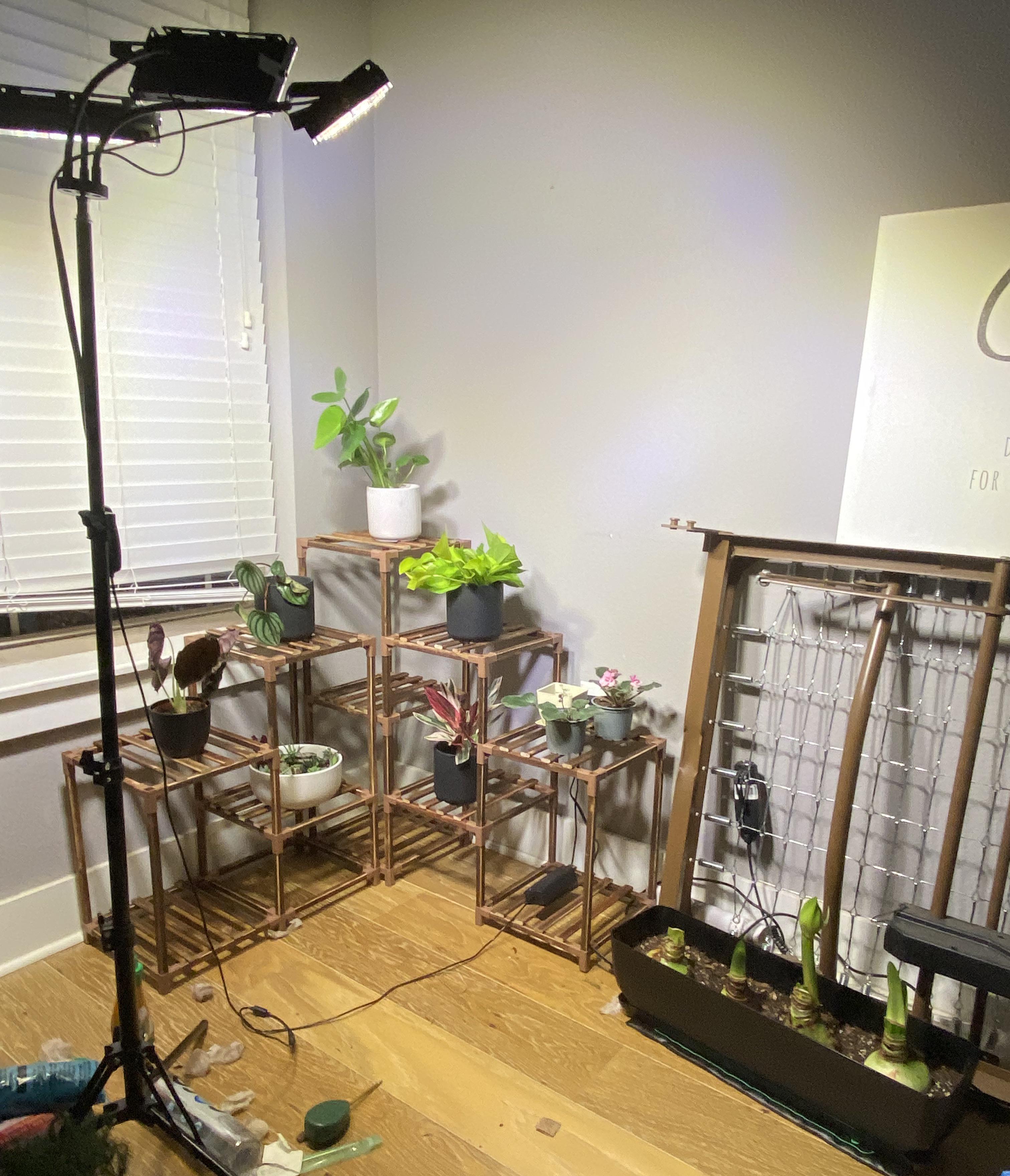 Ok so should I adjust the position of this grow light? I have it