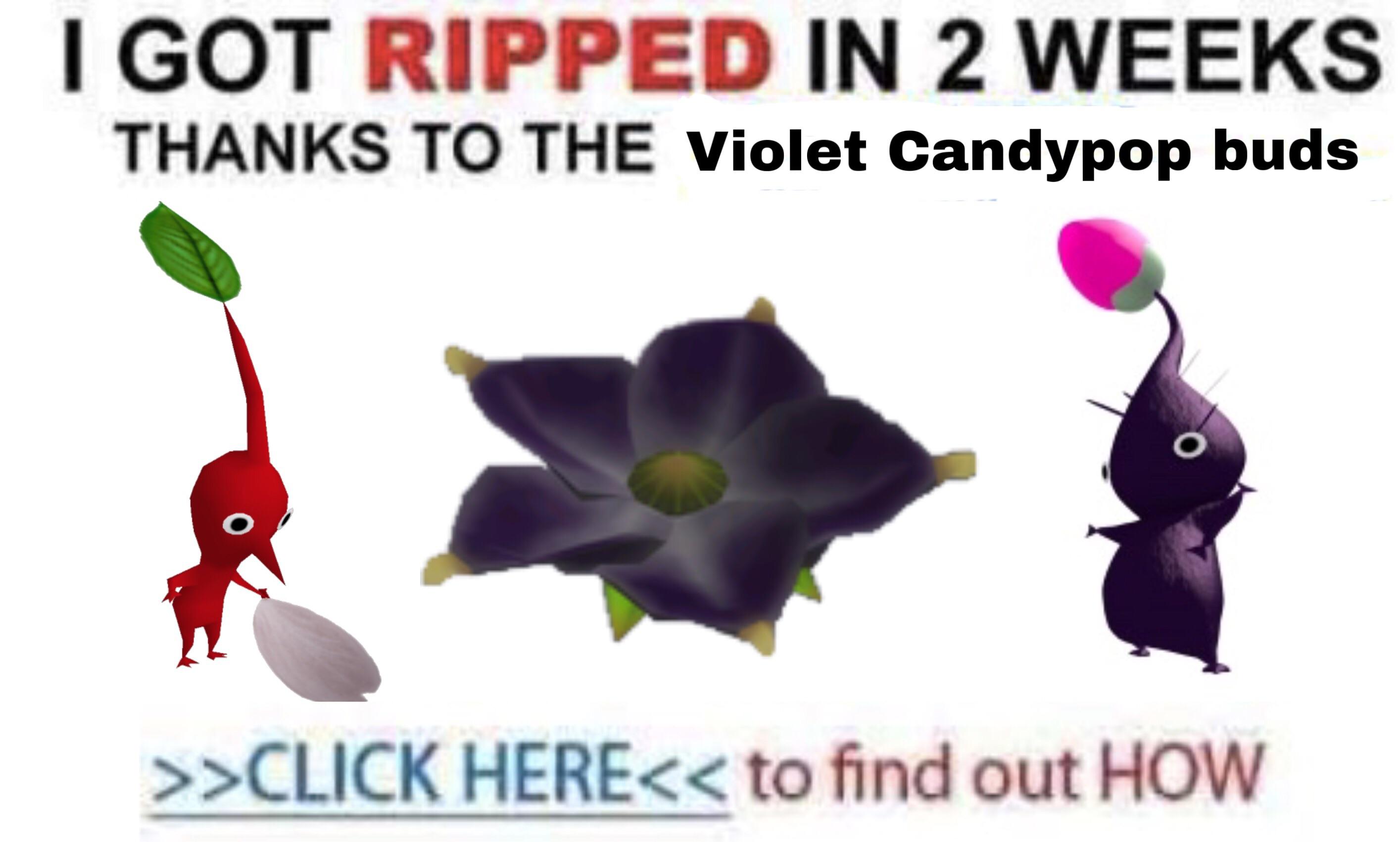 *pikmin being thrown noise* *pikmin scream* *flower spits* *flower