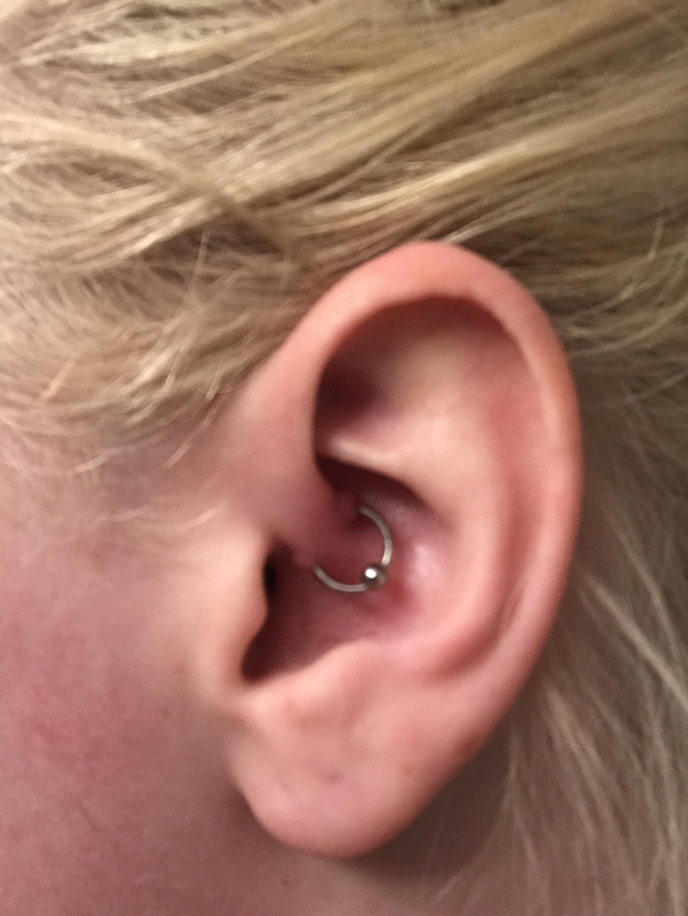 Daith Piercing Healing Reddit Verzameling