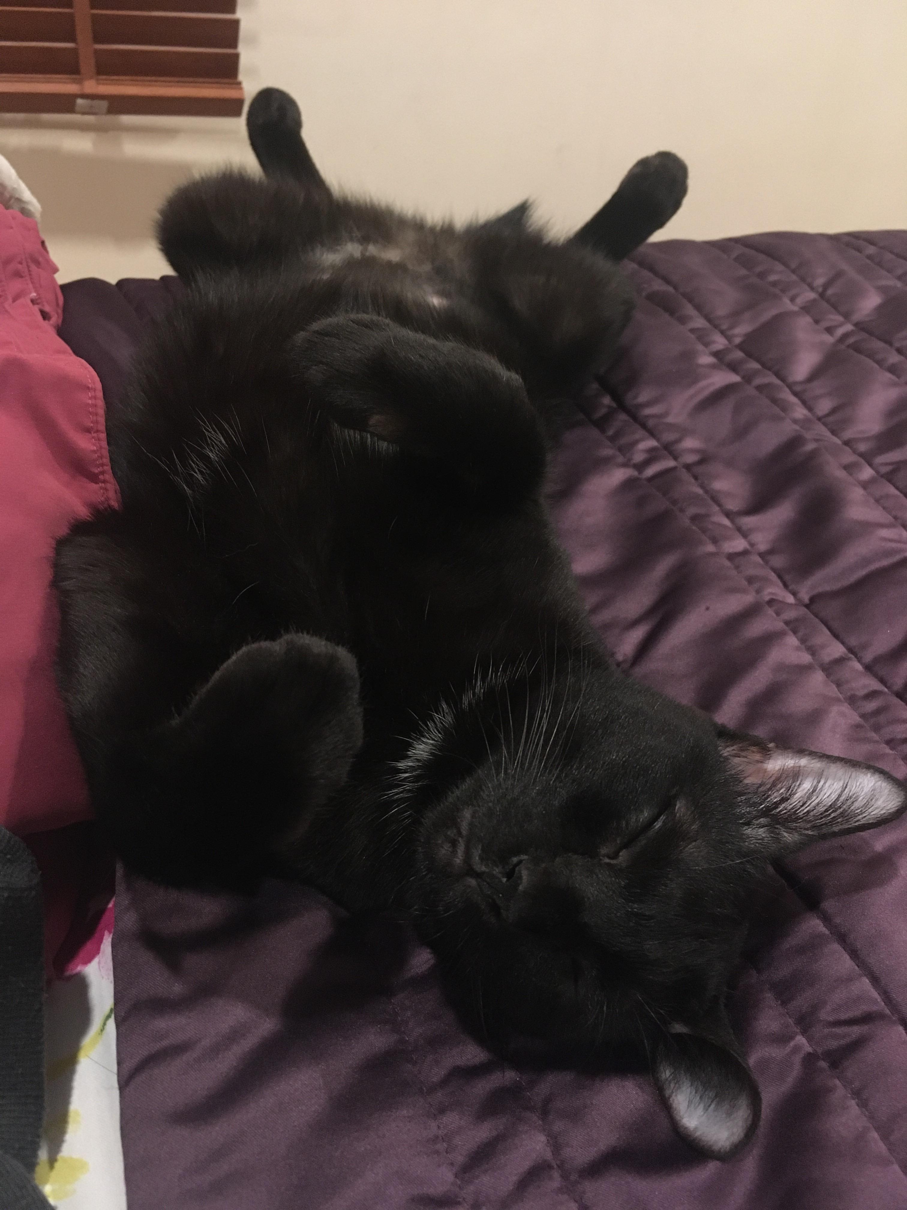 I like watching you sleep. It’s, umm.. kinda fascinating to me. r