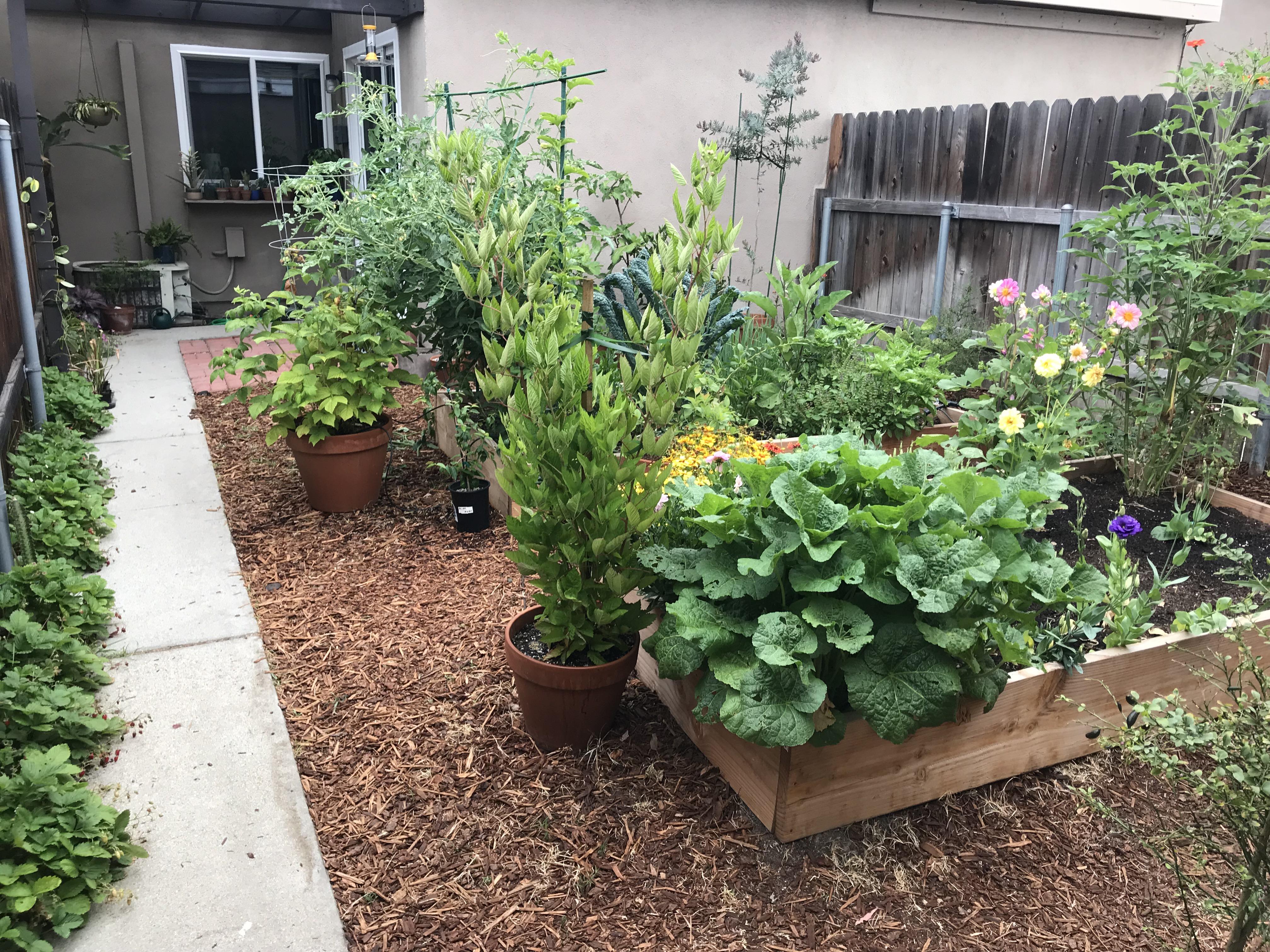 You can do a whole lot with 300 square feet! r/gardening