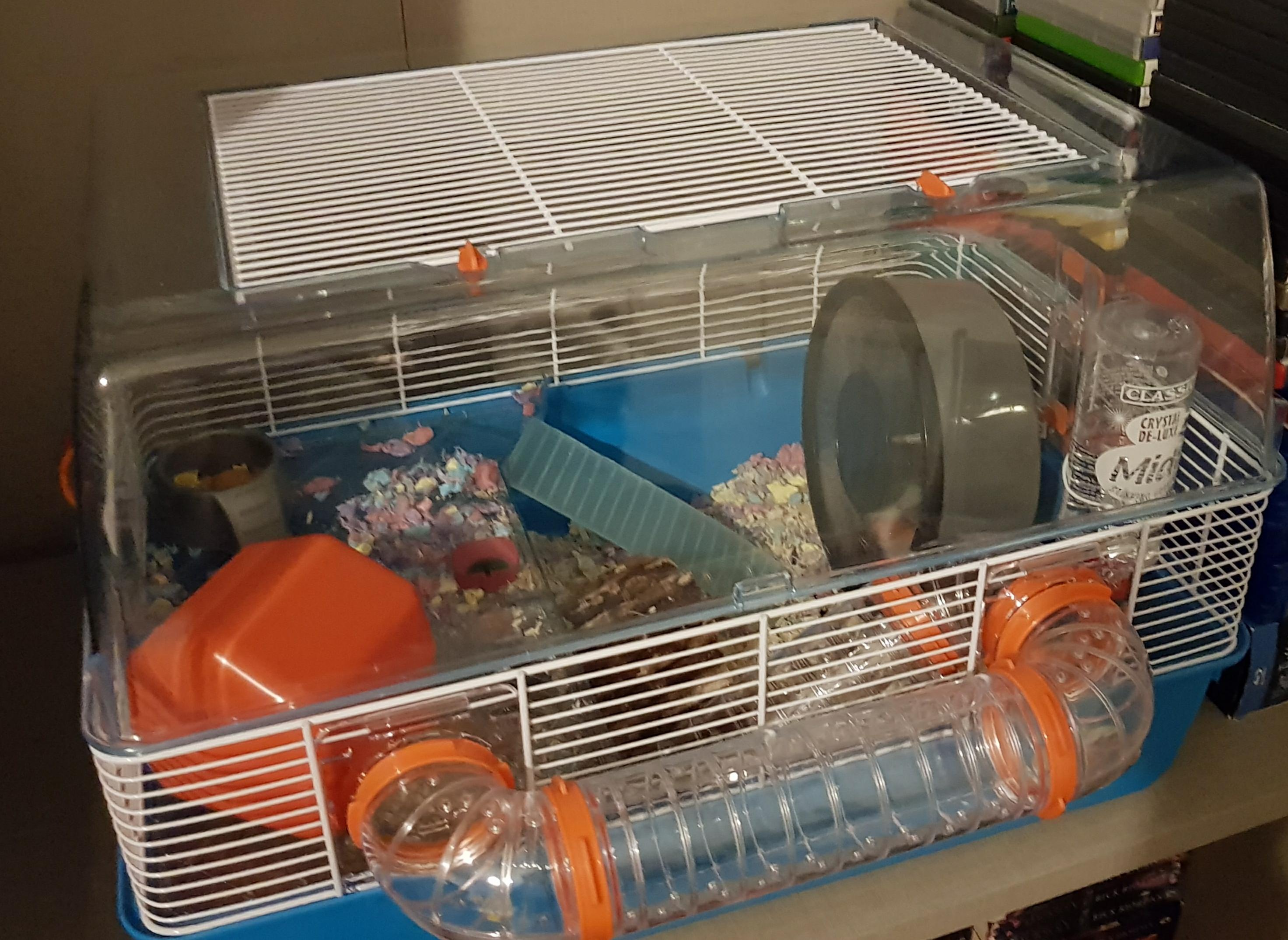 I got a new cage, should I change anything? r/hamsters