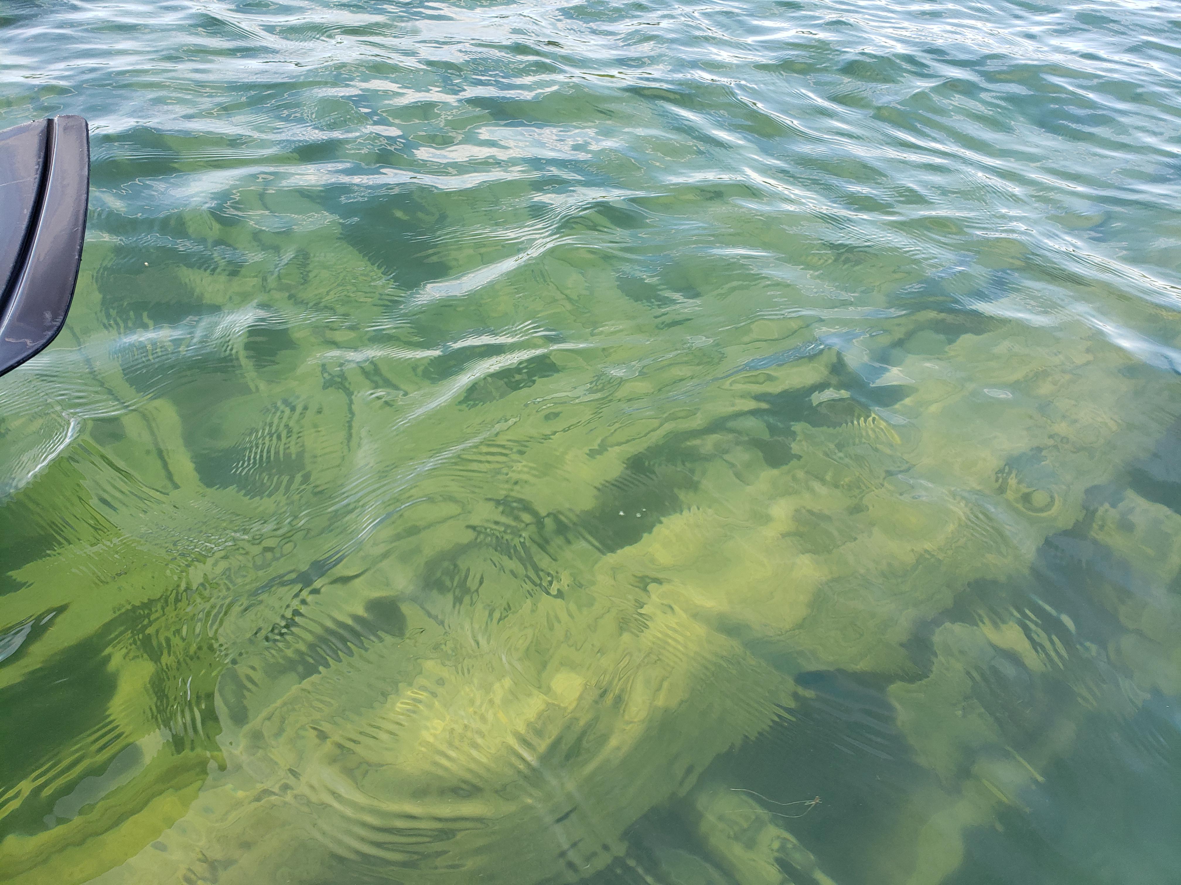 First time kayaking over a shipwreck (Harbor Beach, Michigan) r/Kayaking