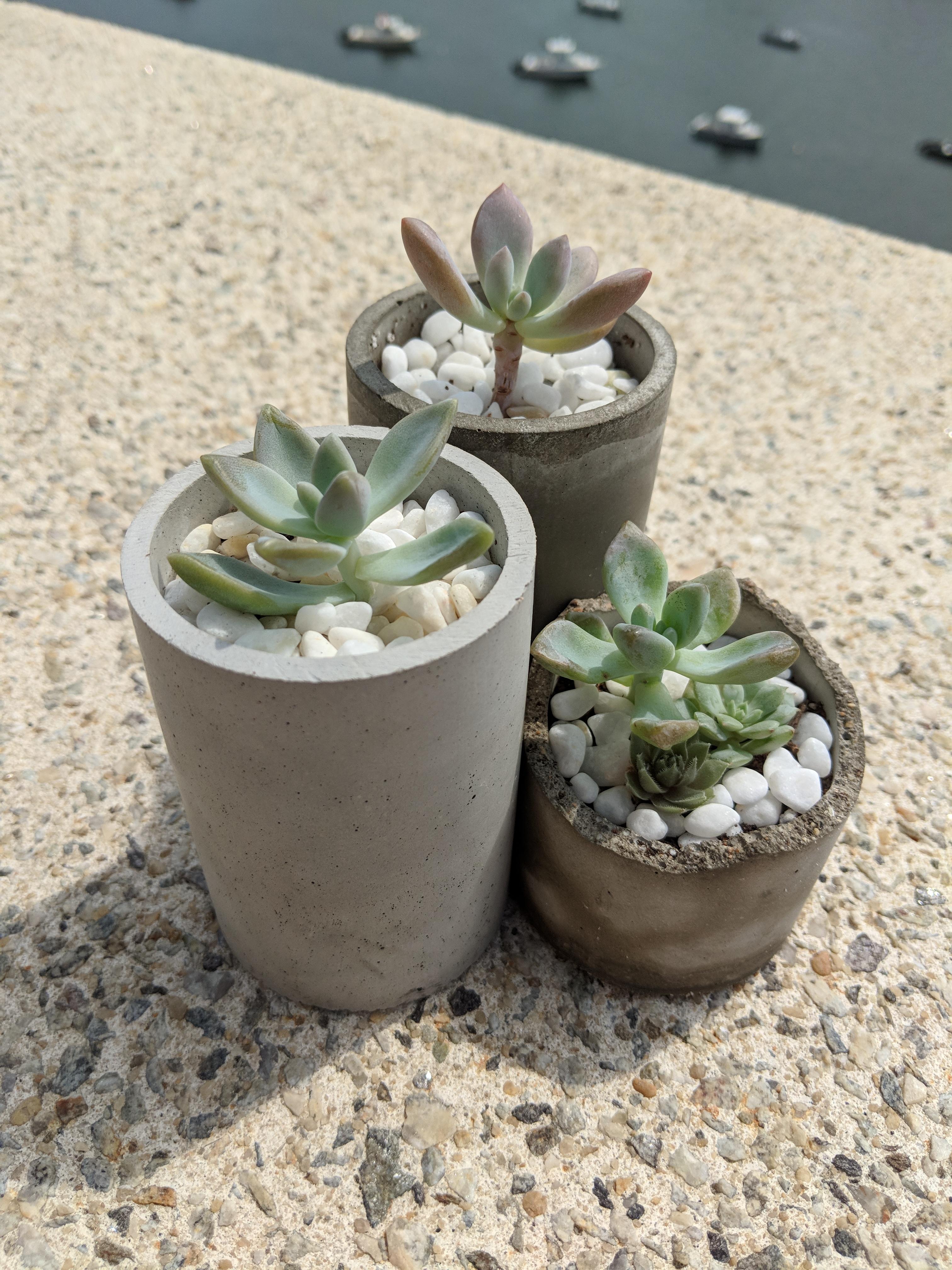 I started making my own silicone molds/cement pots for my babies and