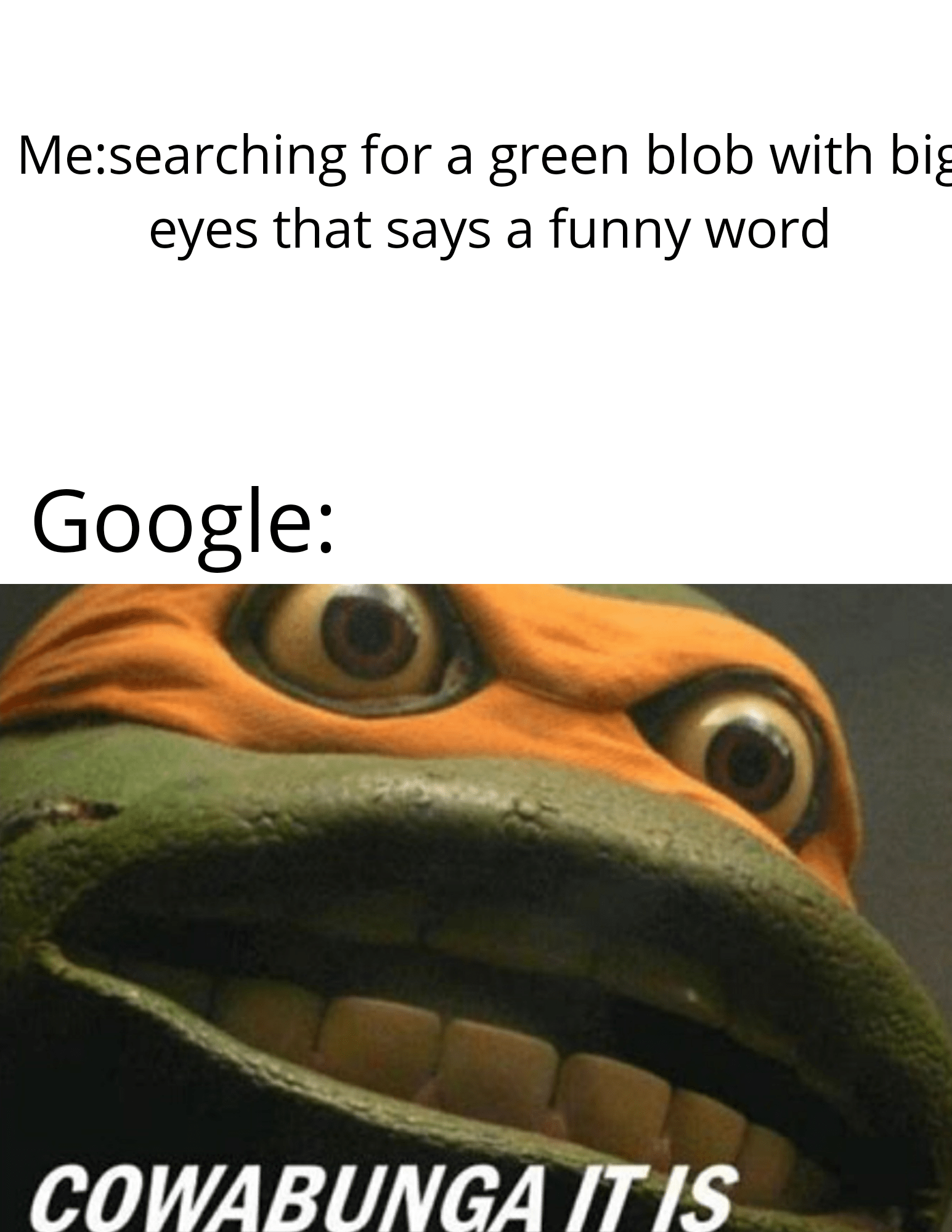 Cowabunga it is... memes