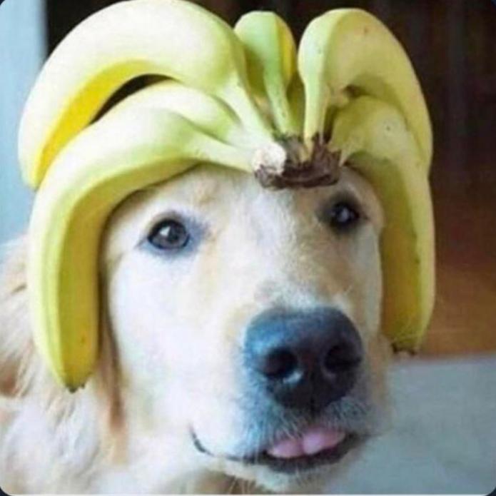 Banana boy r/mlem