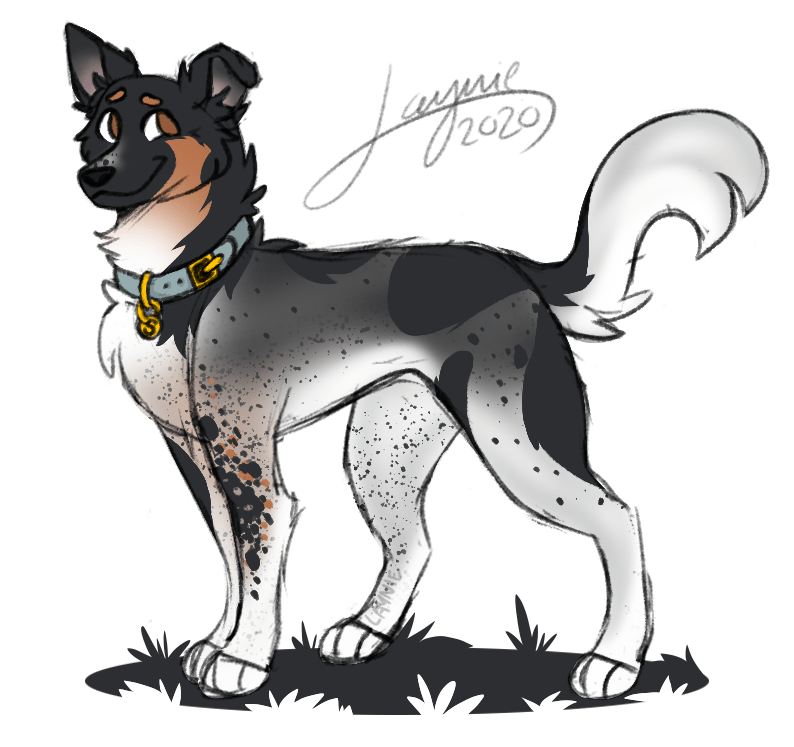 Drew Spencer a bit ago and wanted to post something for when Ethan felt