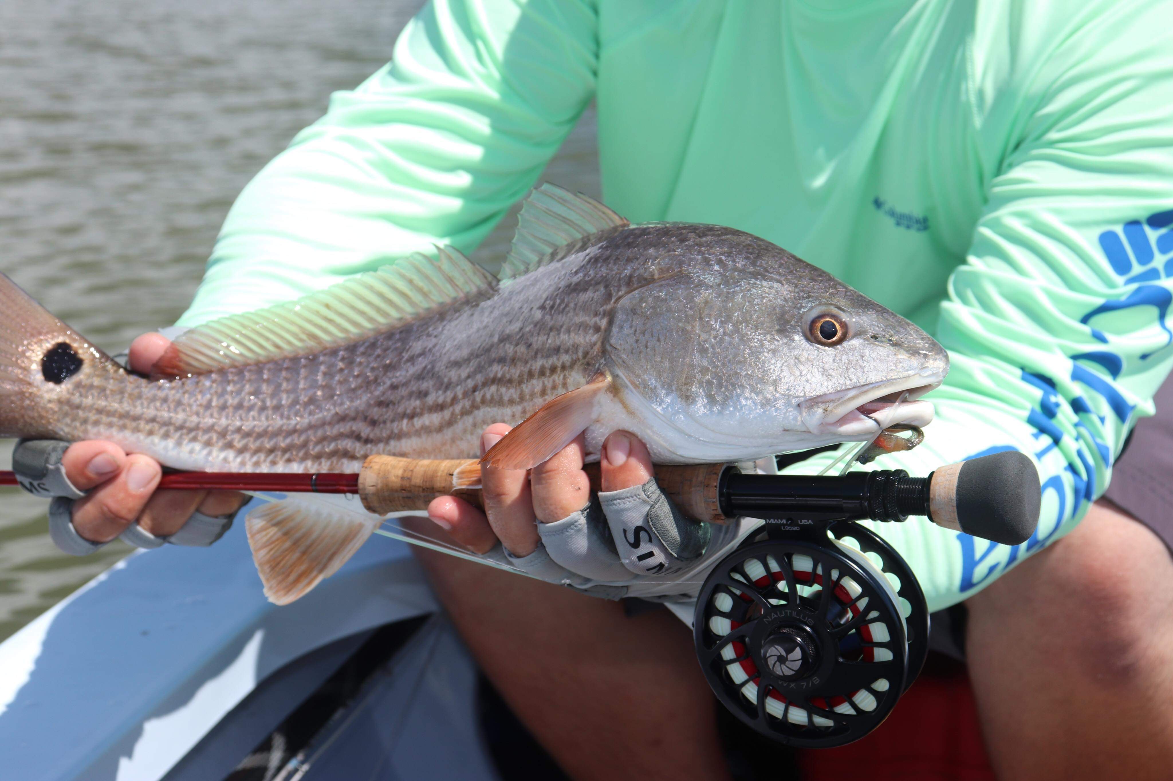 Taking my pet fish for a walk r/flyfishing