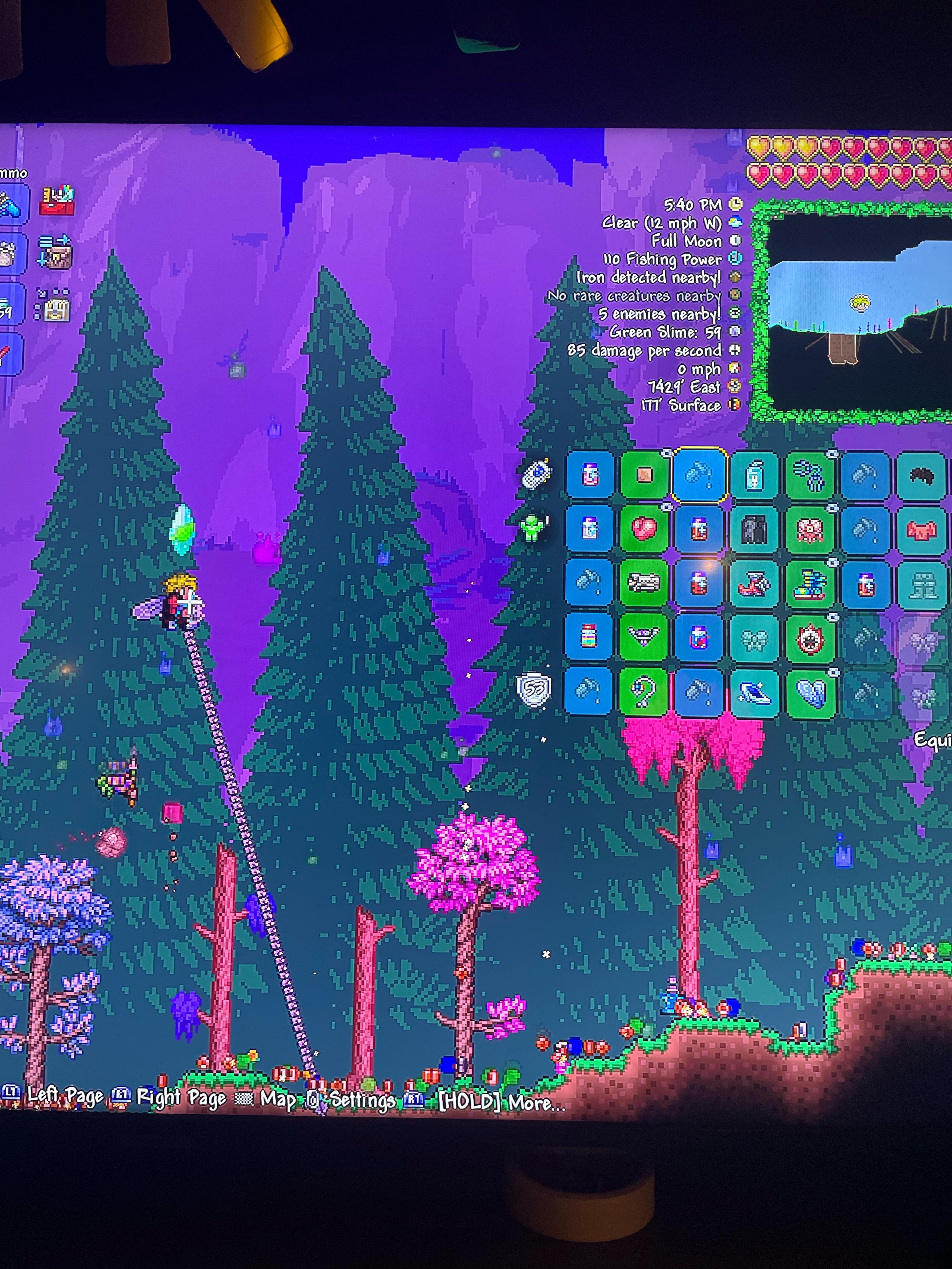 I managed to get the dirt block pet! r/Terraria