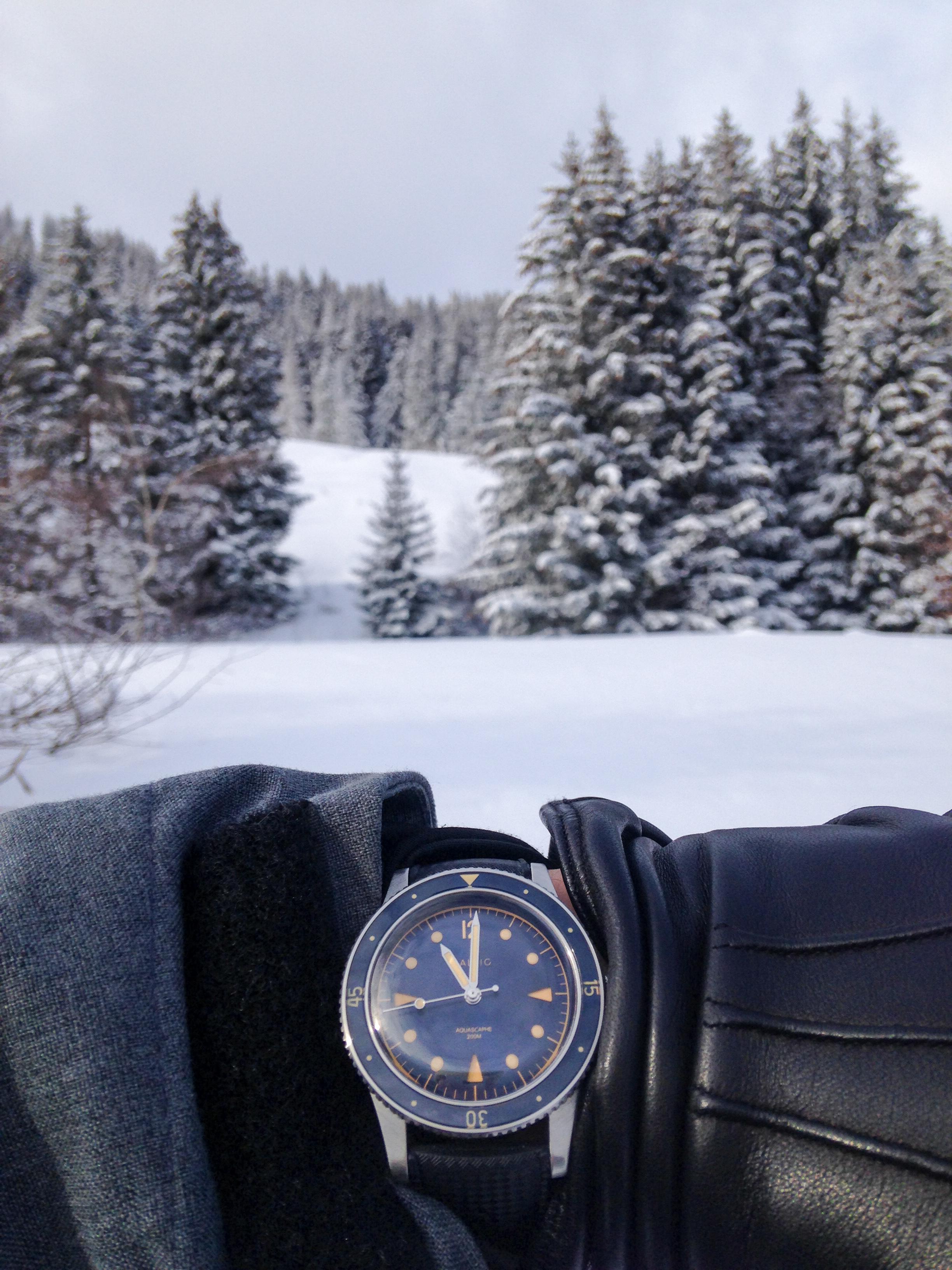 [Baltic] Aquascaphe Blue Gilt. Worth the wait... r/Watches