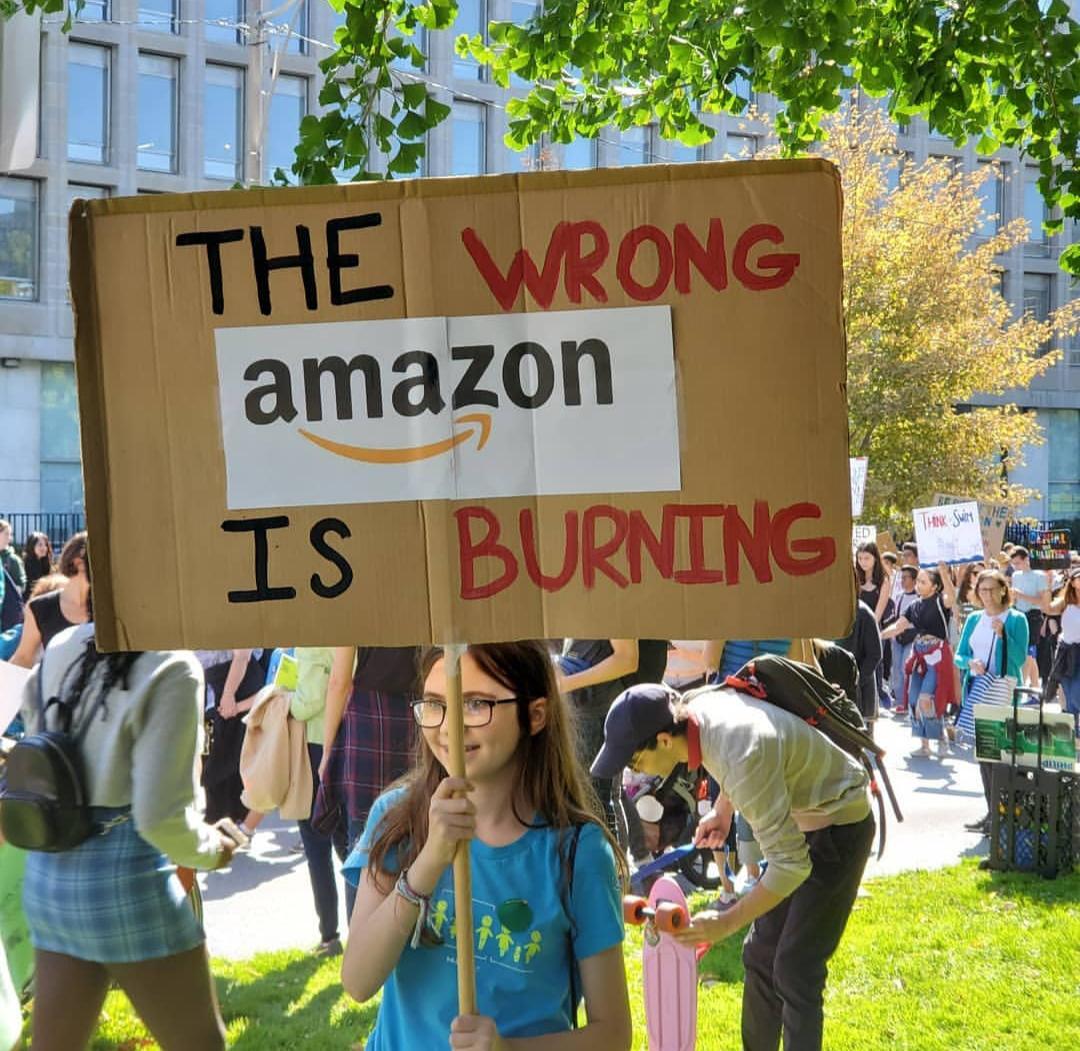 The Wrong Amazon Is Burning r/socialism