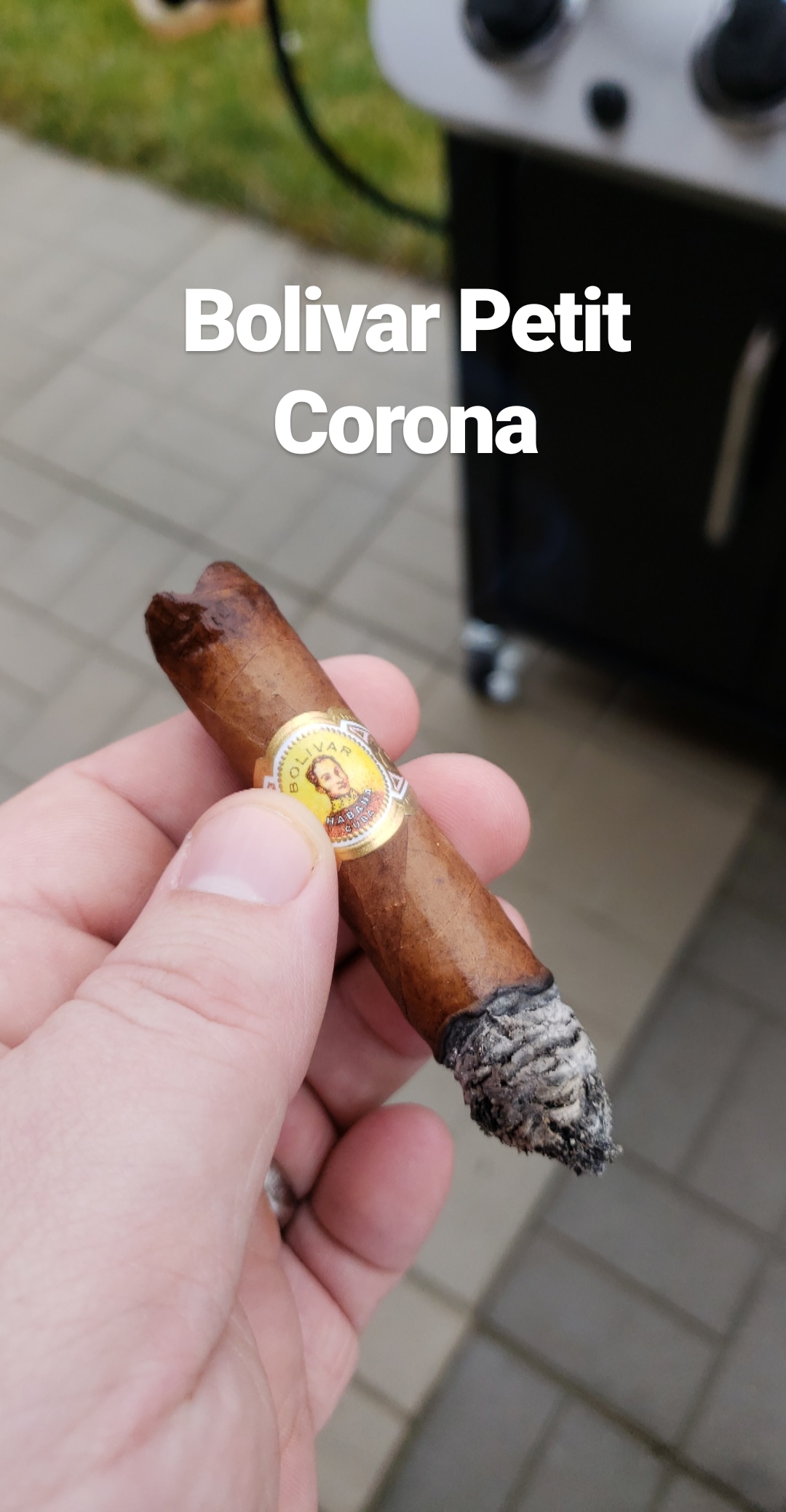 Bolivar Petit Corona on a warm afternoon r/cigars
