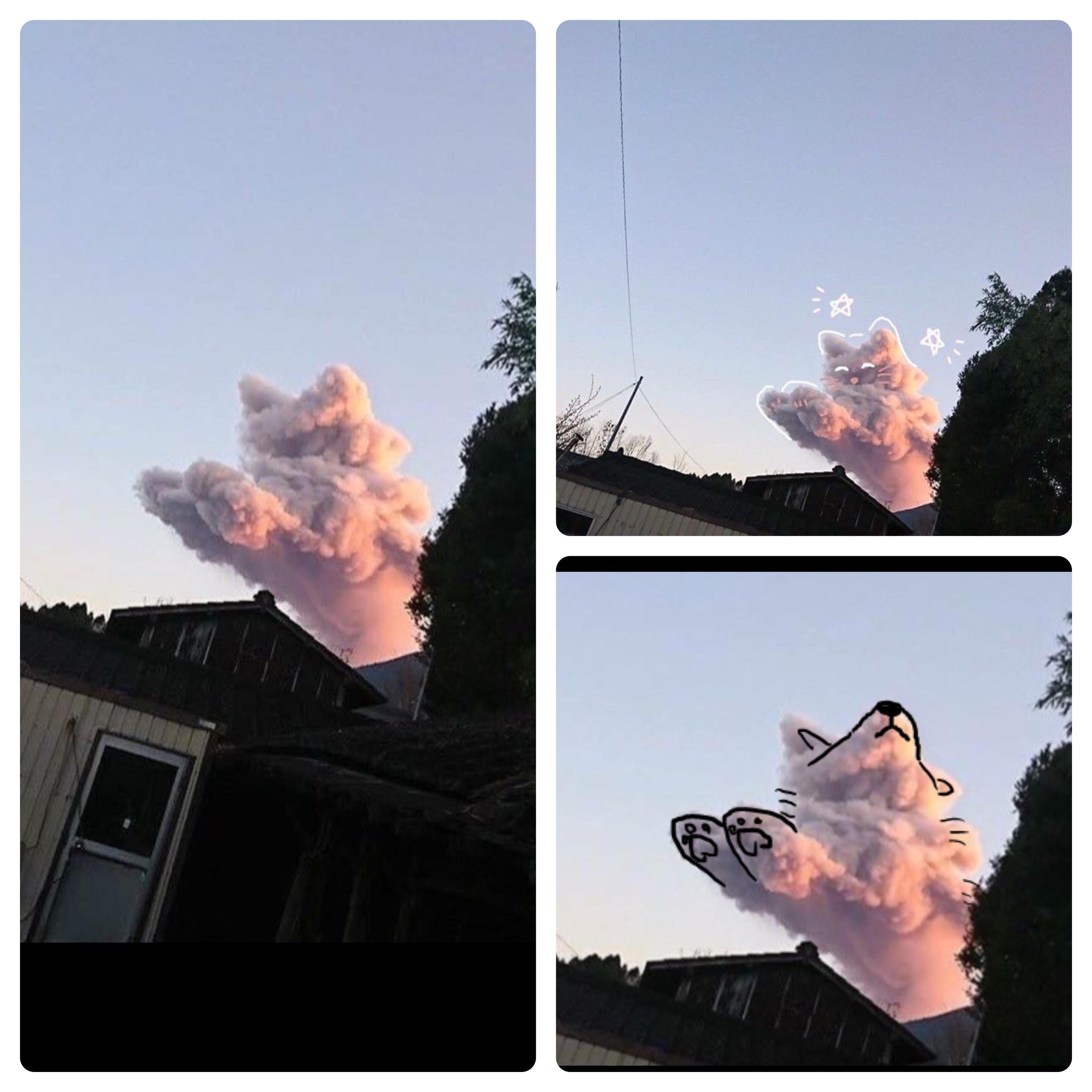 This cloud looks like a cat, and a dog. r/nevertellmetheodds