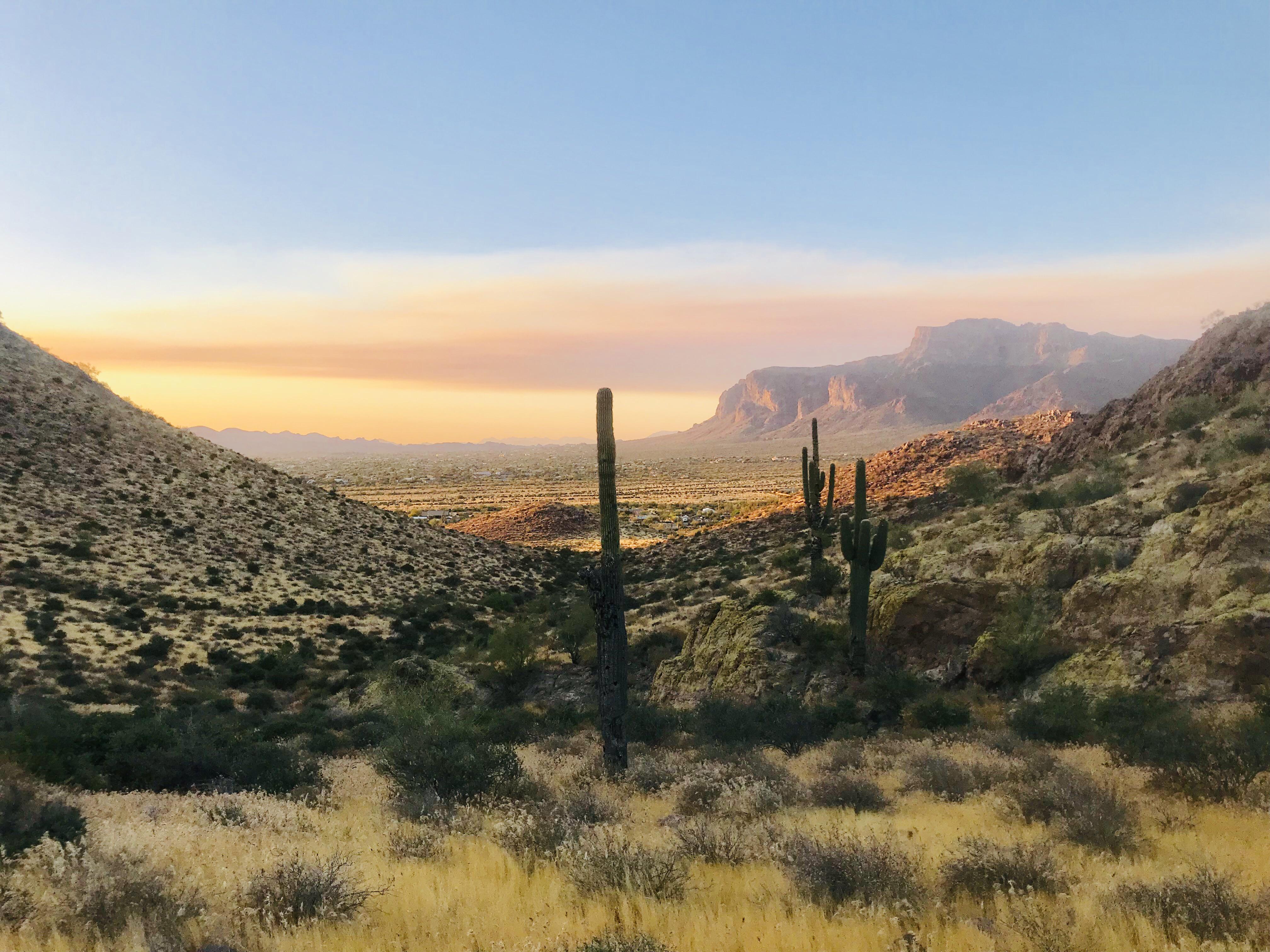 Near Gold Canyon r/arizona