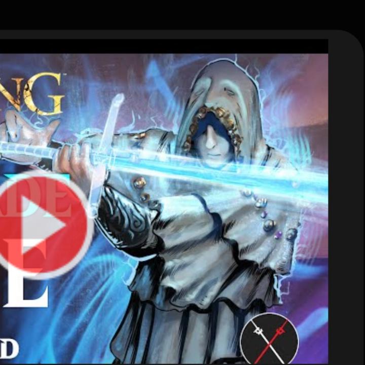 So earlier i asked what armour was for the paliden build by fextralife