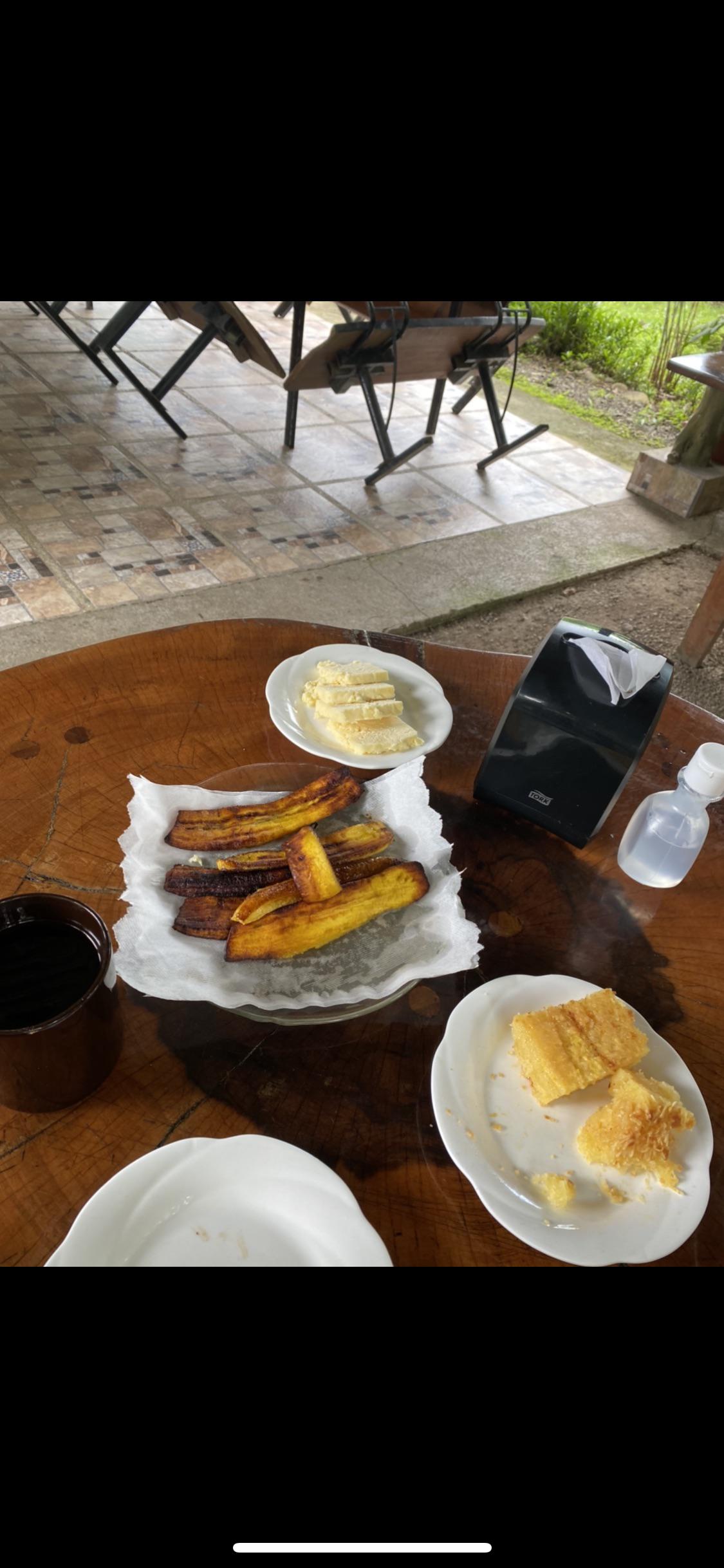 Yuca cake, plaintains and cheese r/costarica
