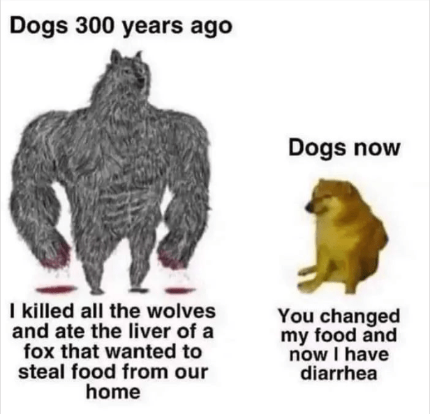 Dogs 300 Years Ago vs Now Meme r/doggoslife