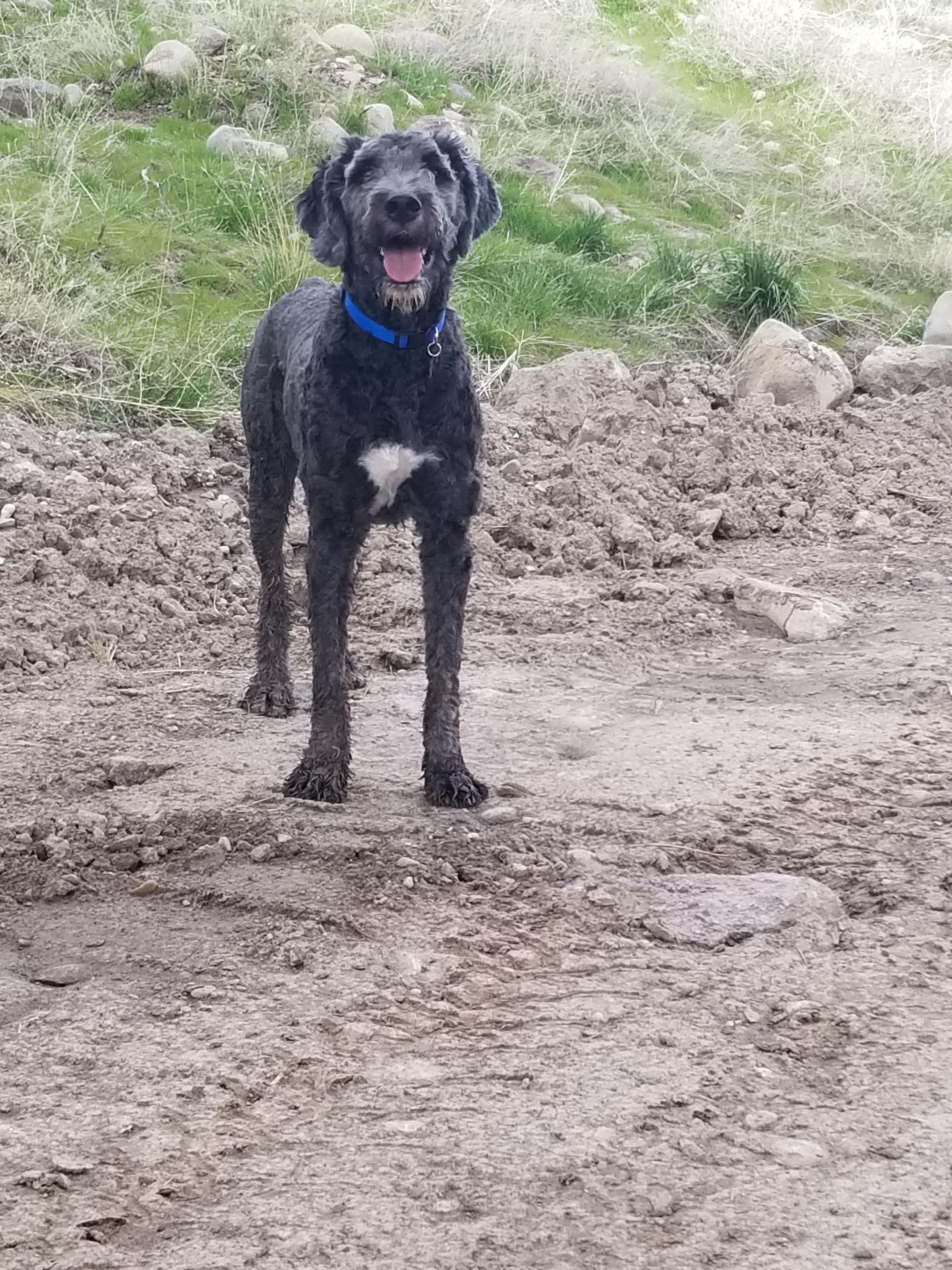 Is a 7 minute mile good? (2022) sonyuzy.com