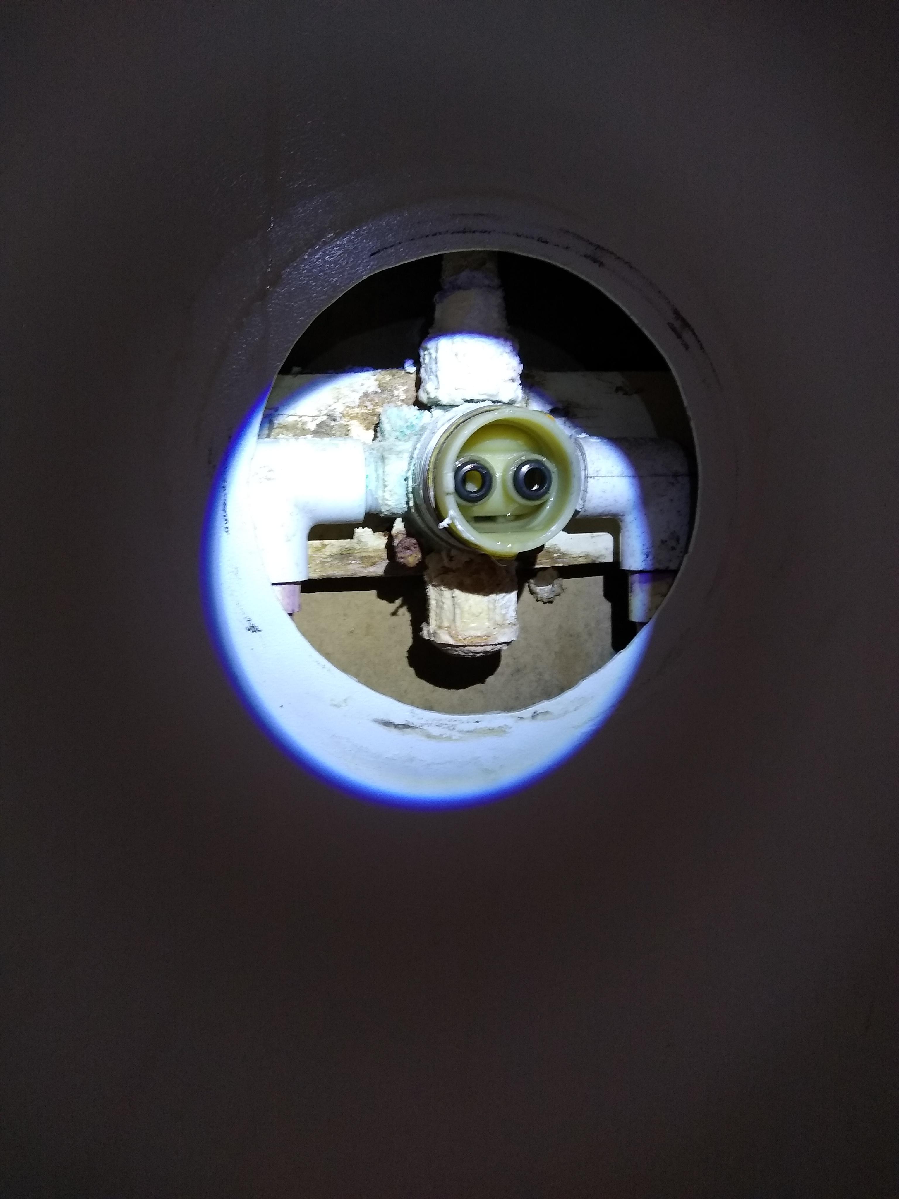 Can't read the model, need to figure out some sort of repair shower won