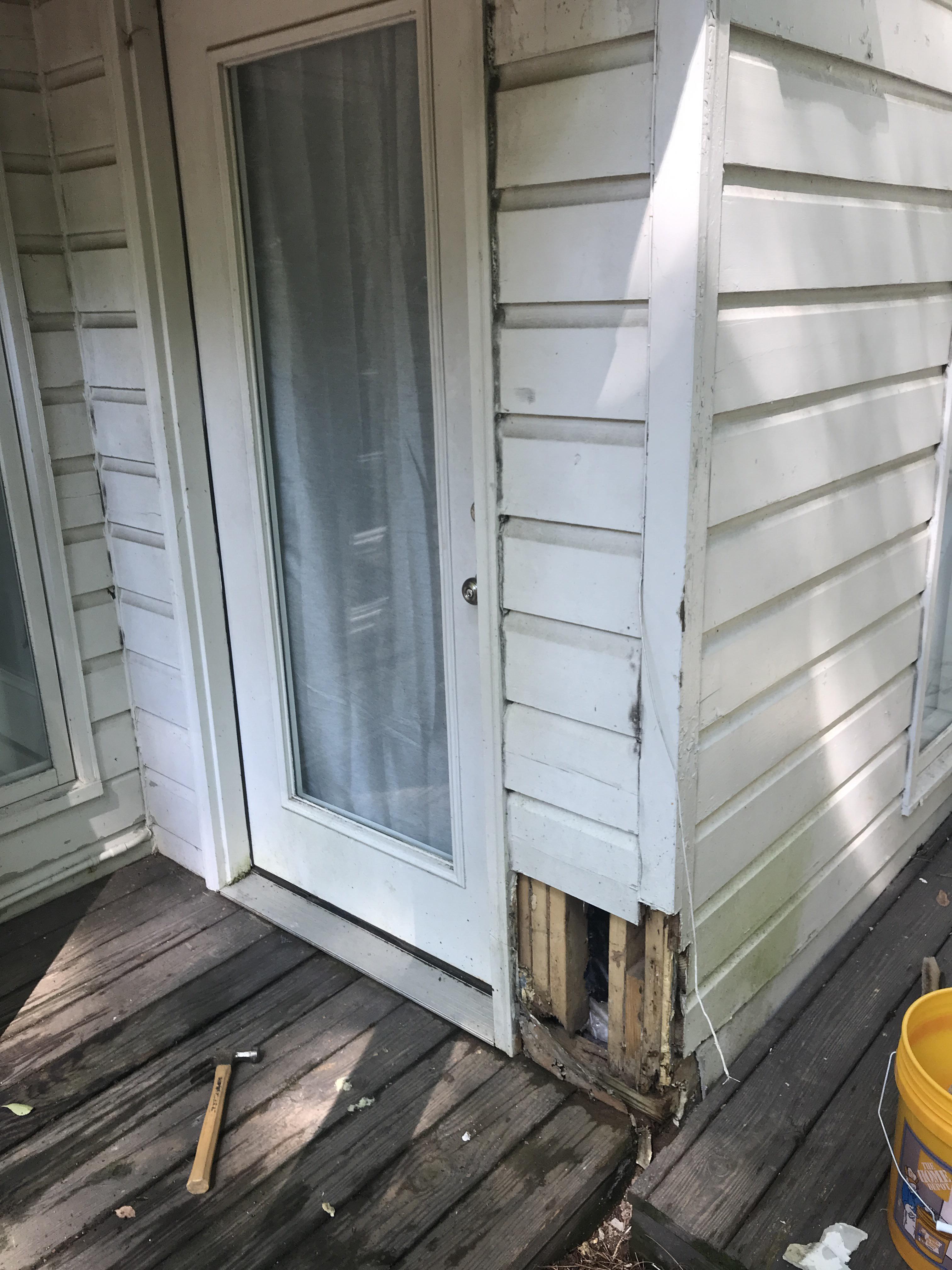 Advice for repairing this termite damage? Can I cut out the damage and