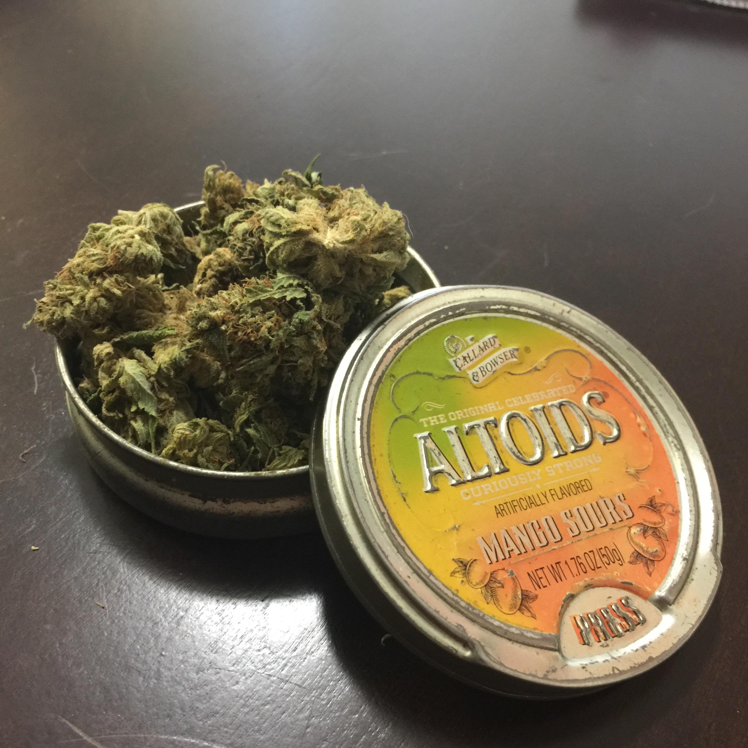 My weed tin for 15 years (inspired by a post on r/nostalgia) r/trees