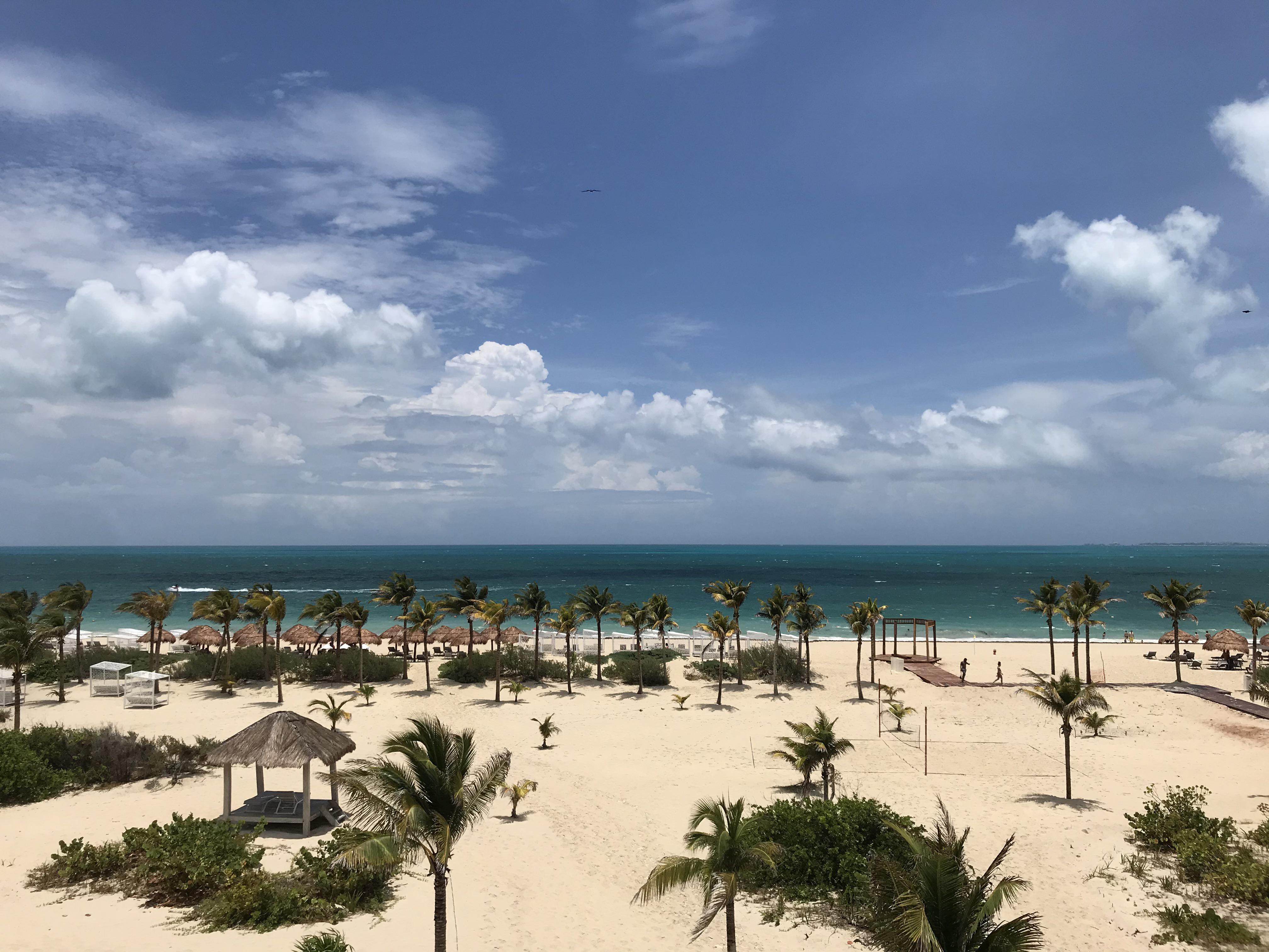 Majestic Elegance Costa Mujeres Mexico r/Tropical