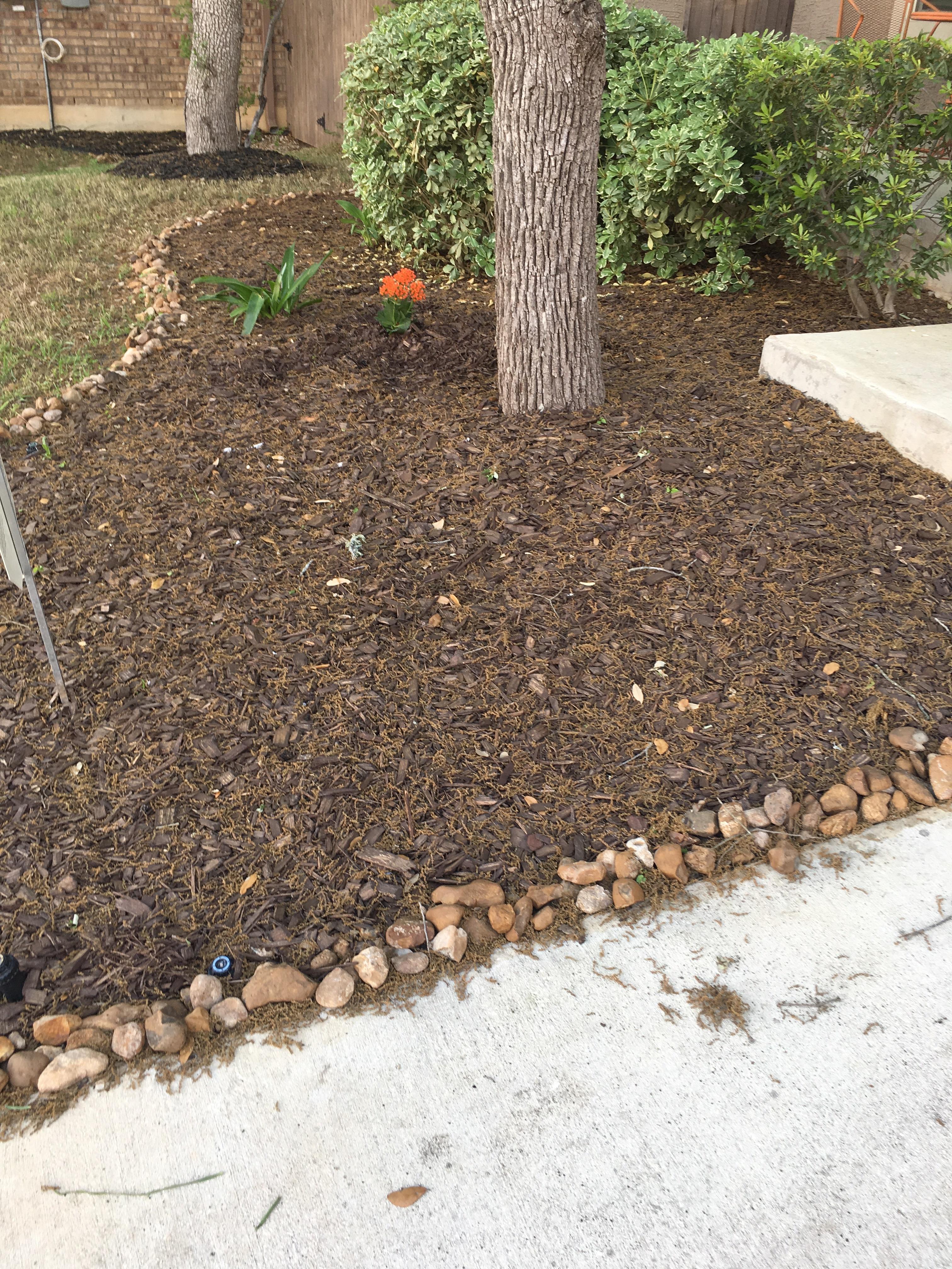 replaced mulch before storm now this... r/landscaping