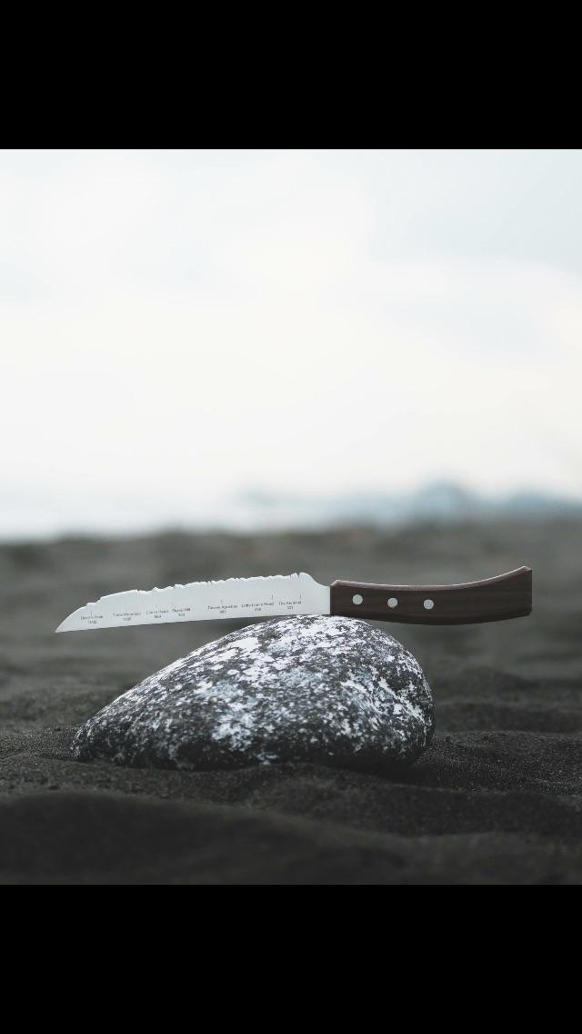 Knife with Panorama. r/knives