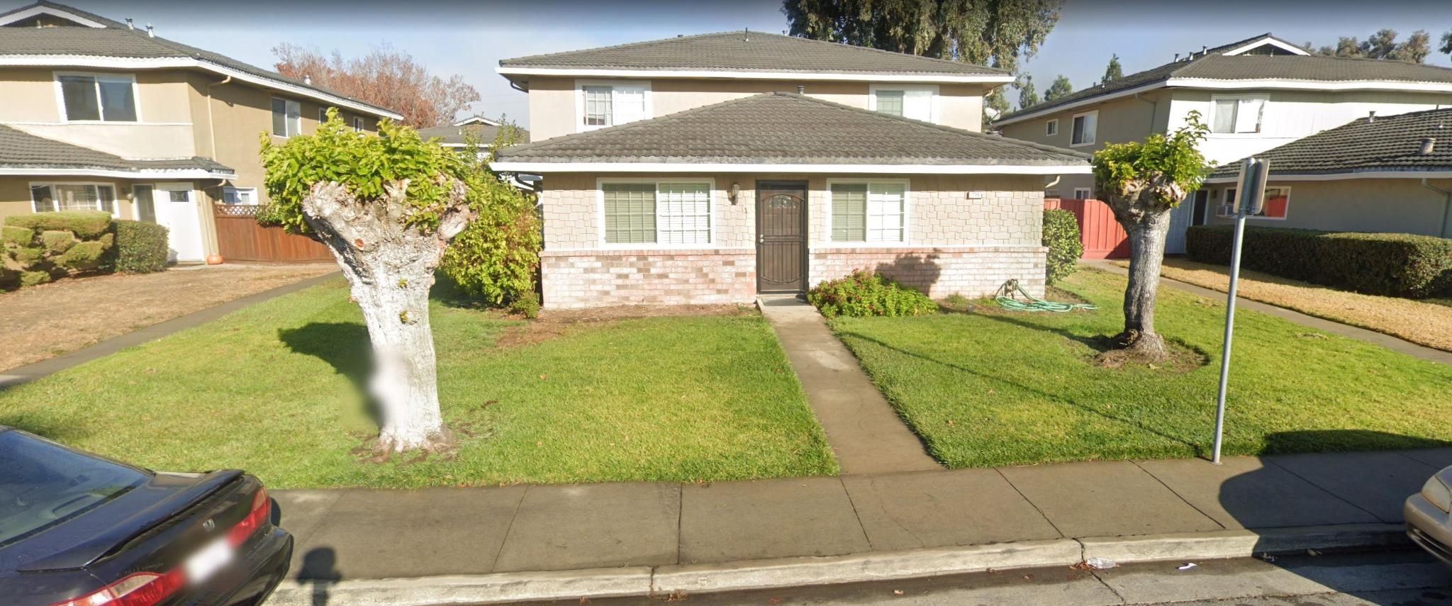 Another San Jose Mulberry Pollard r/coppicing