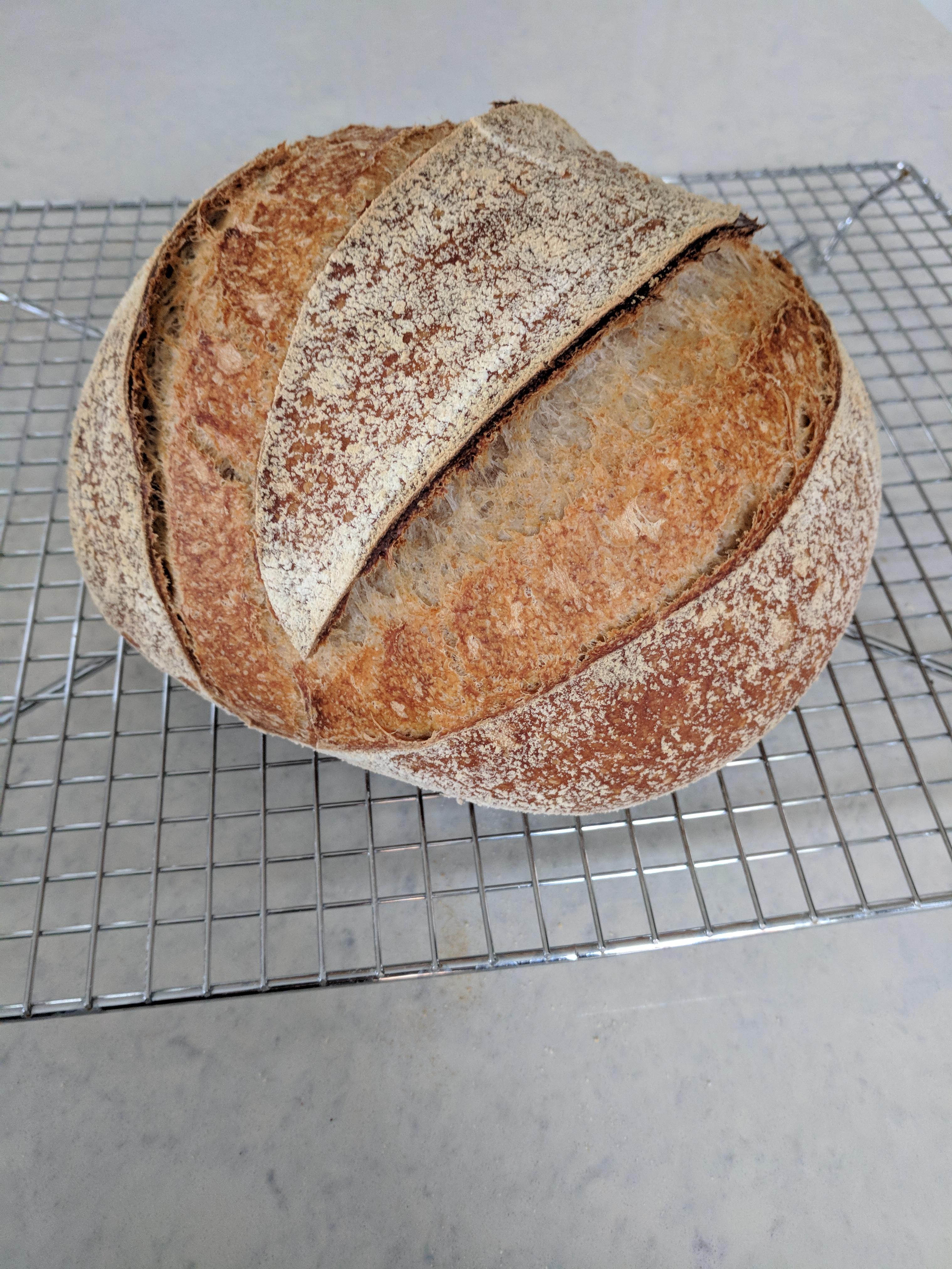 Modernist Sourdough out the Modernist Bread volume. r/Breadit