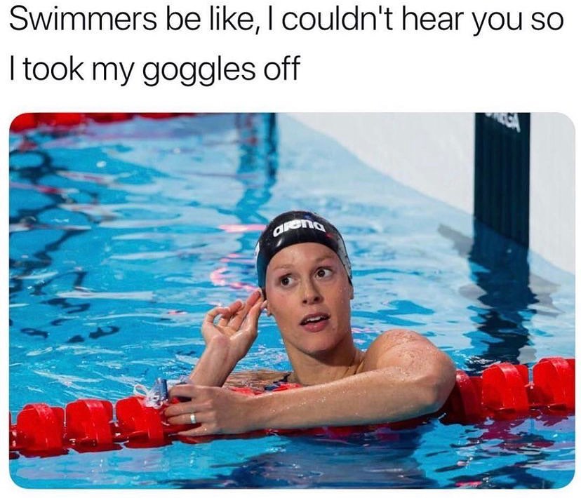 Swimming memes r/SwimmingMemes