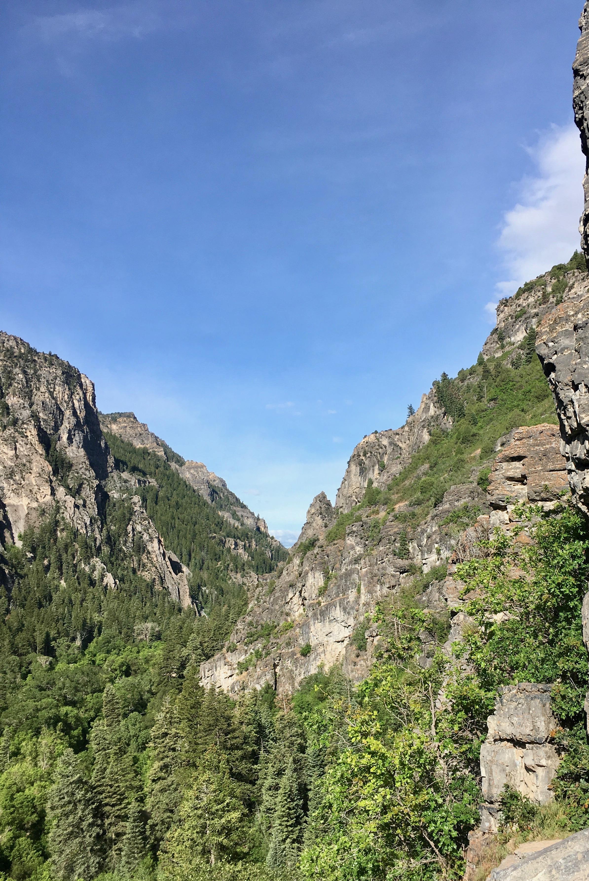 Morning in American Fork Canyon, UT [OC] [2388 × 3571] r/ImagesOfUSA