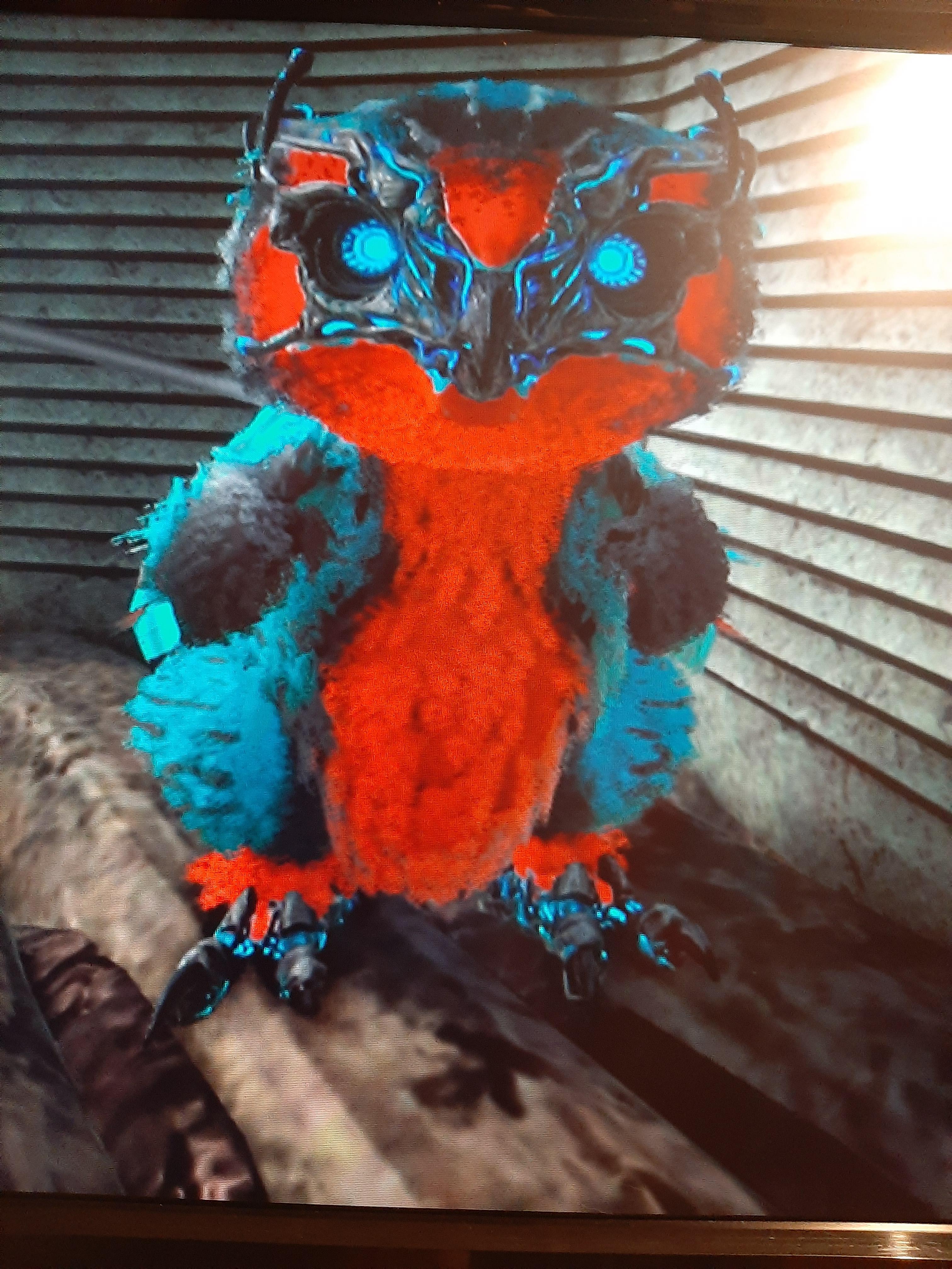 My new snow owl ARK